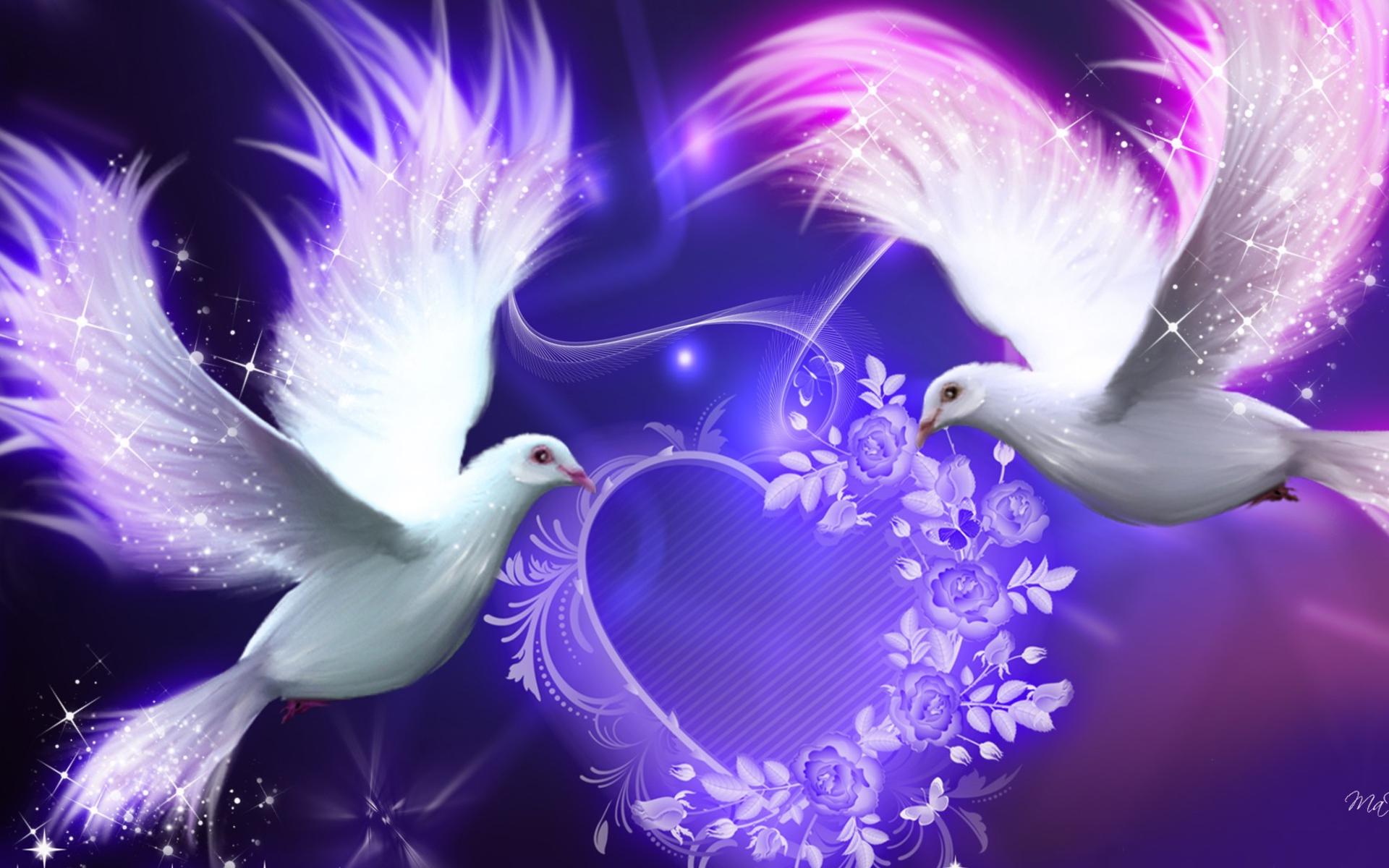 1920x1200 Dove Background Download Free