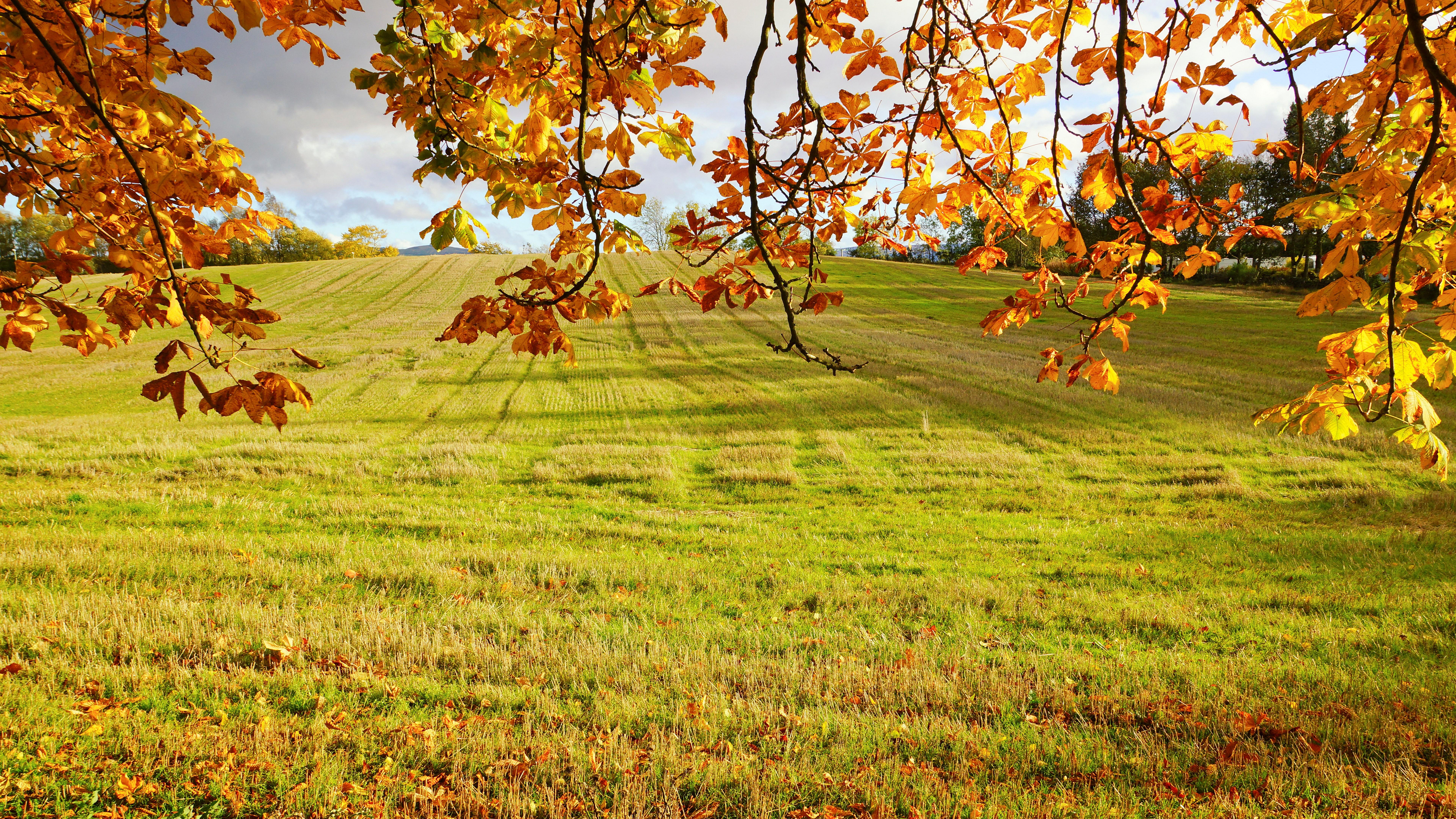 7680x4320 ultra HD wallpaper 8k resolution 7680x4320 nature valley HD wallpaper, Background