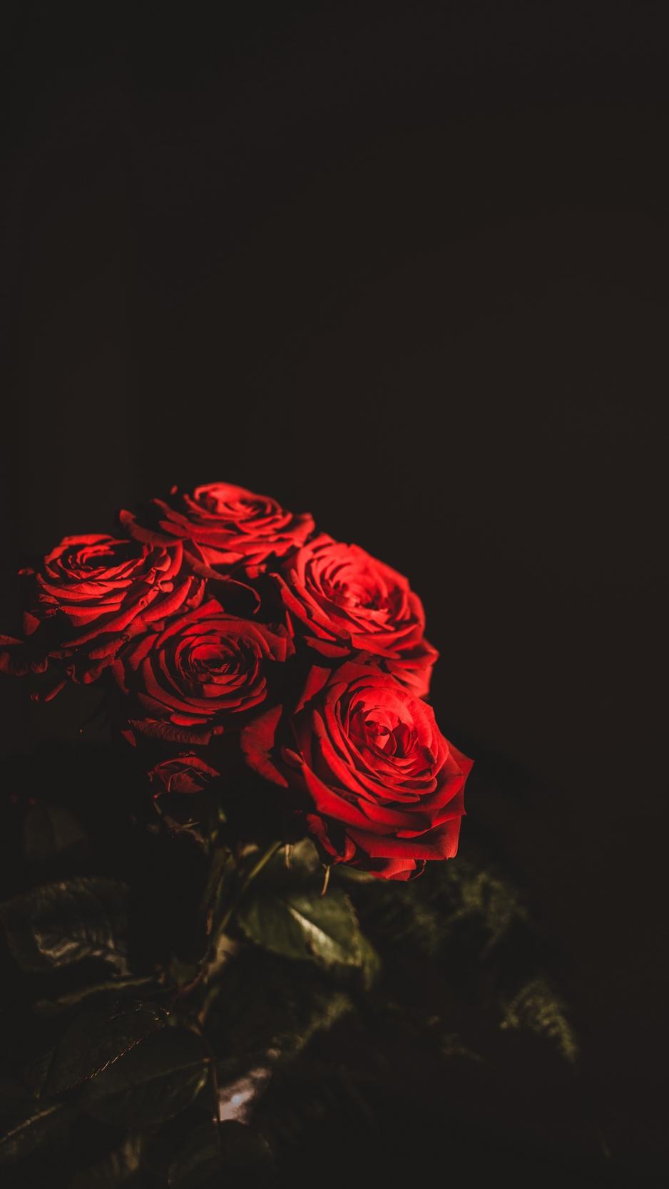 938x1668 Wallpaper Roses, Bouquet, Flowers, Dark, Red Wallpaper Flower Red Black