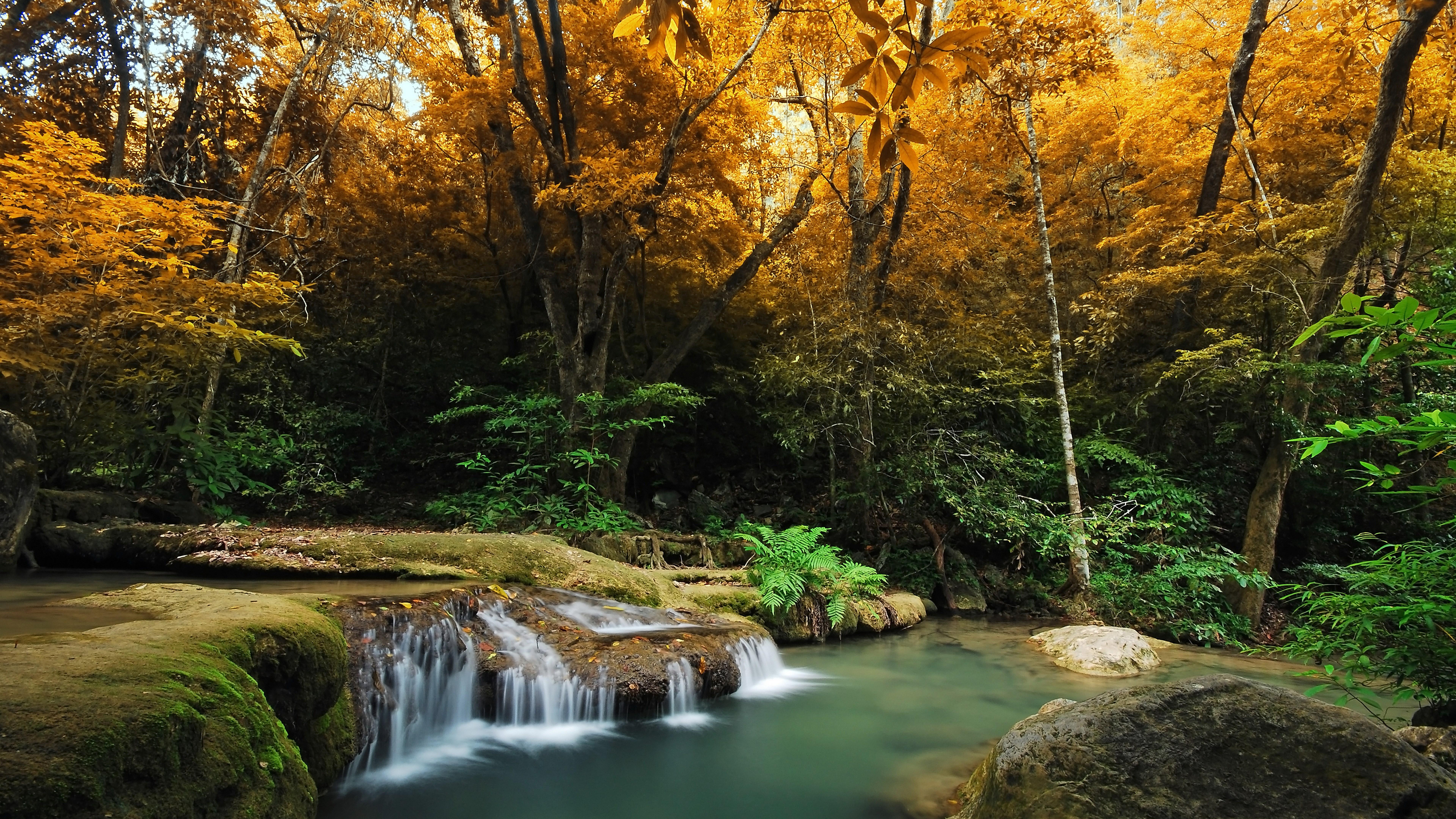 7680x4320 8k Wallpaper Nature Inspired Wallpaper Nature HD Wallpaper