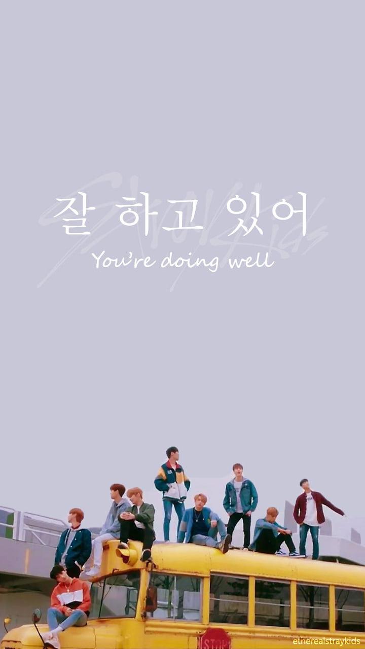 720x1280 Stray Kids Wallpaper