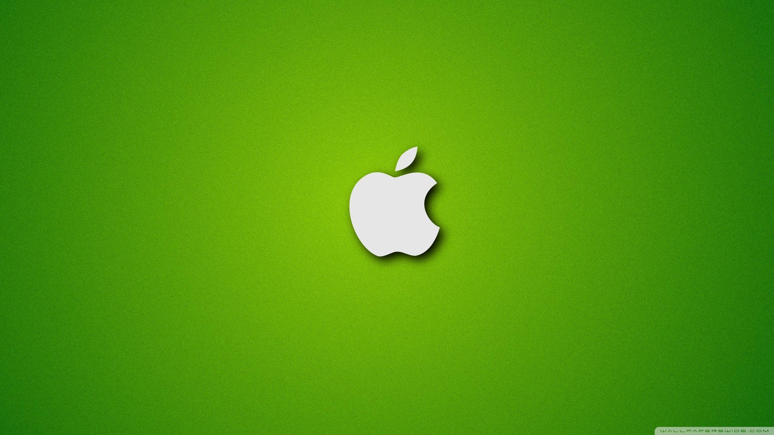 HD wallpaper Apple logo green mac green color green background  indoors  Wallpaper Flare