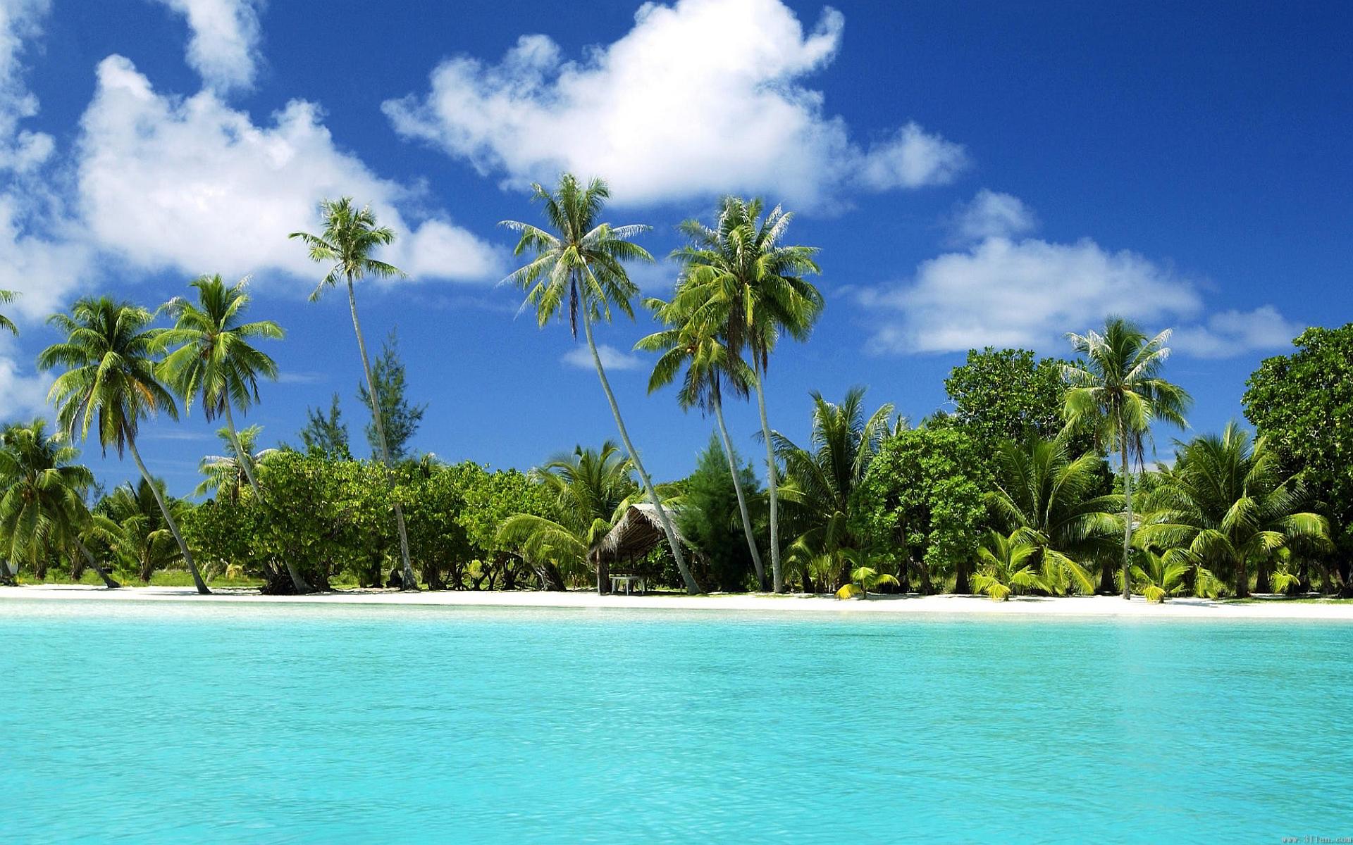 1920x1200 Tropical Beach Paradise