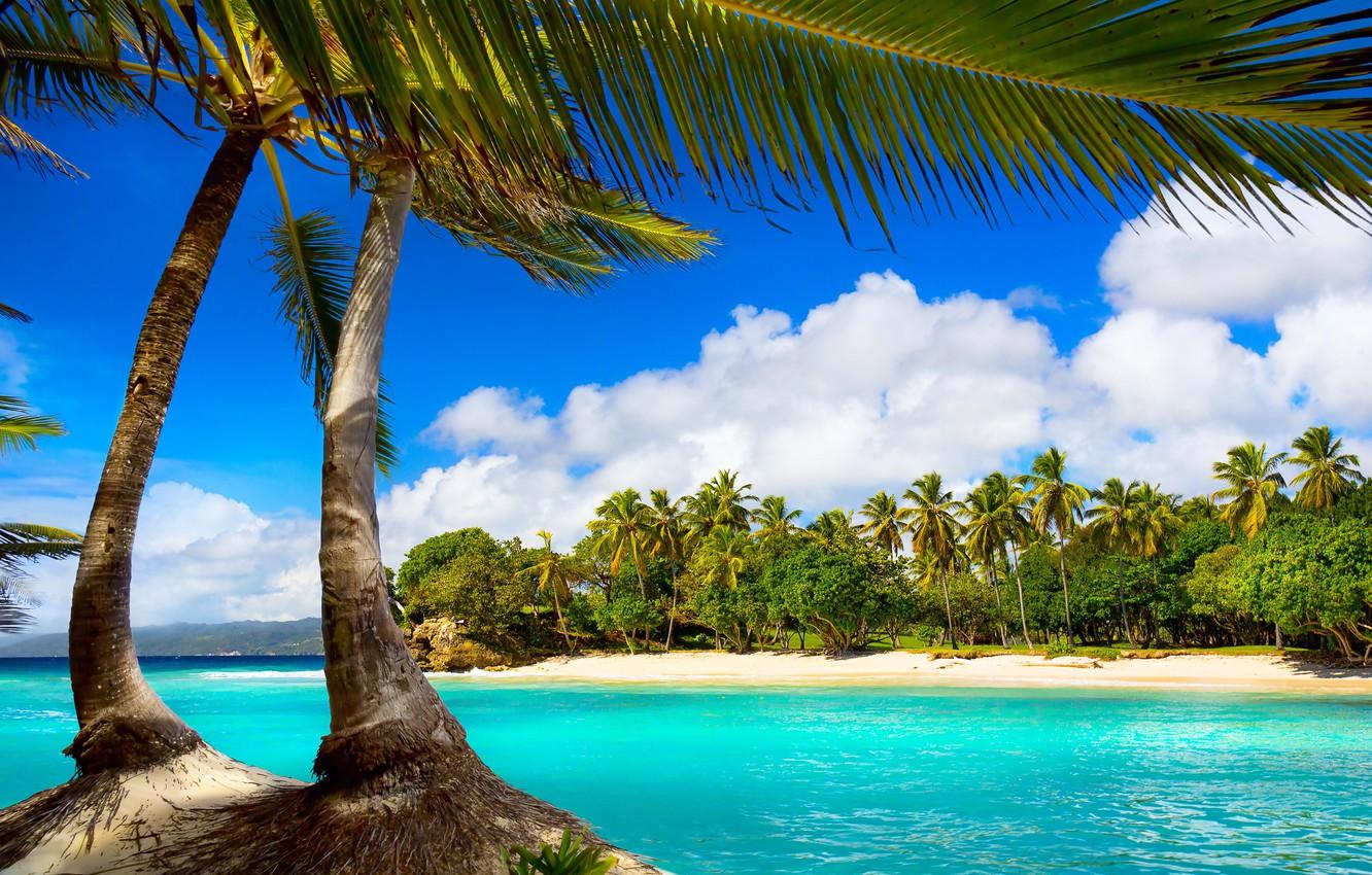 1332x850 Wallpaper sea, beach, tropics, palm trees, summer, beach, sea, ocean, paradise, vacation, palms, tropical image for desktop, section природа
