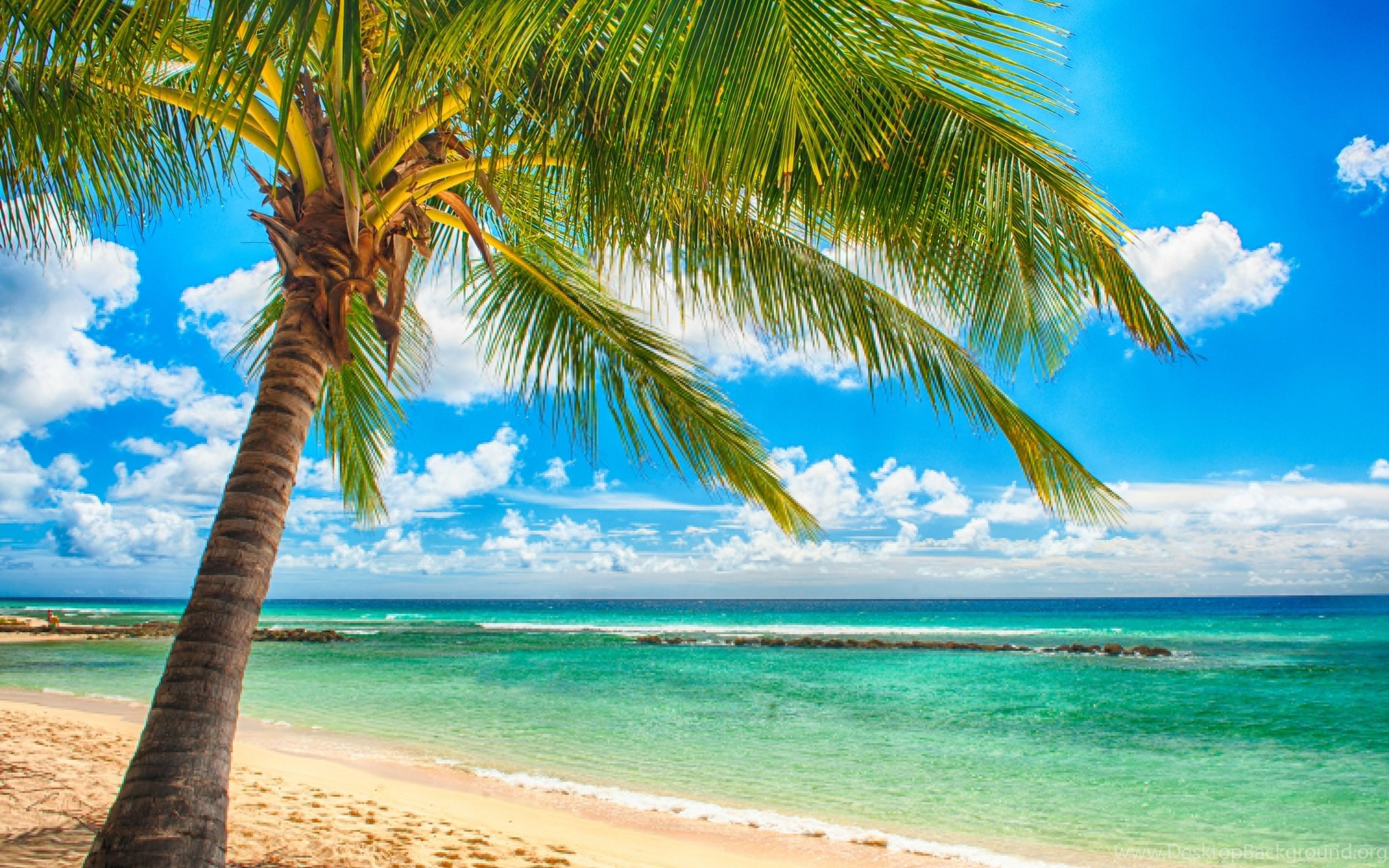 3840x2400 Paradise Sea Summer Ocean Beach Tropical Palms Sunshine Wallpaper. Desktop Background