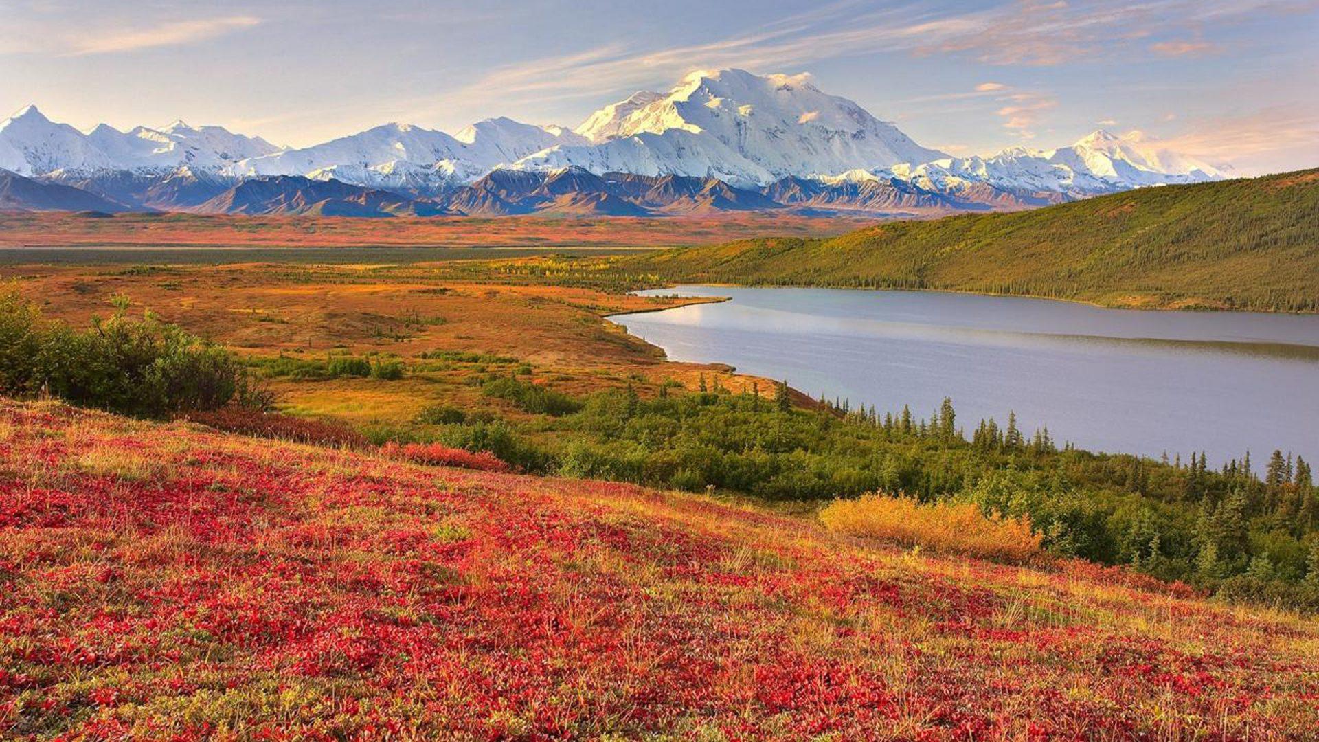 1920x1080 Denali National Park HD