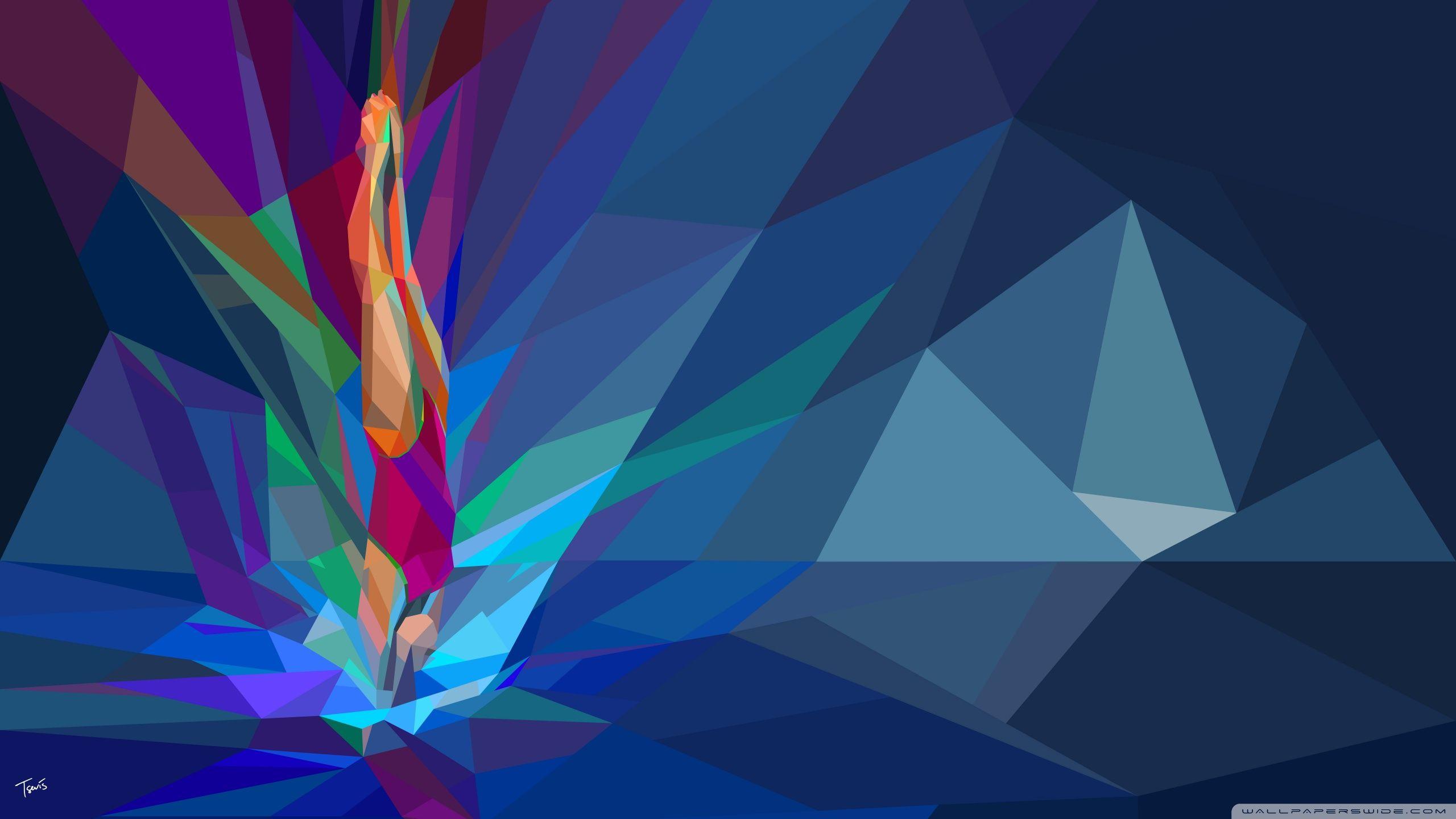 2560x1440 Swimmer Wallpaper