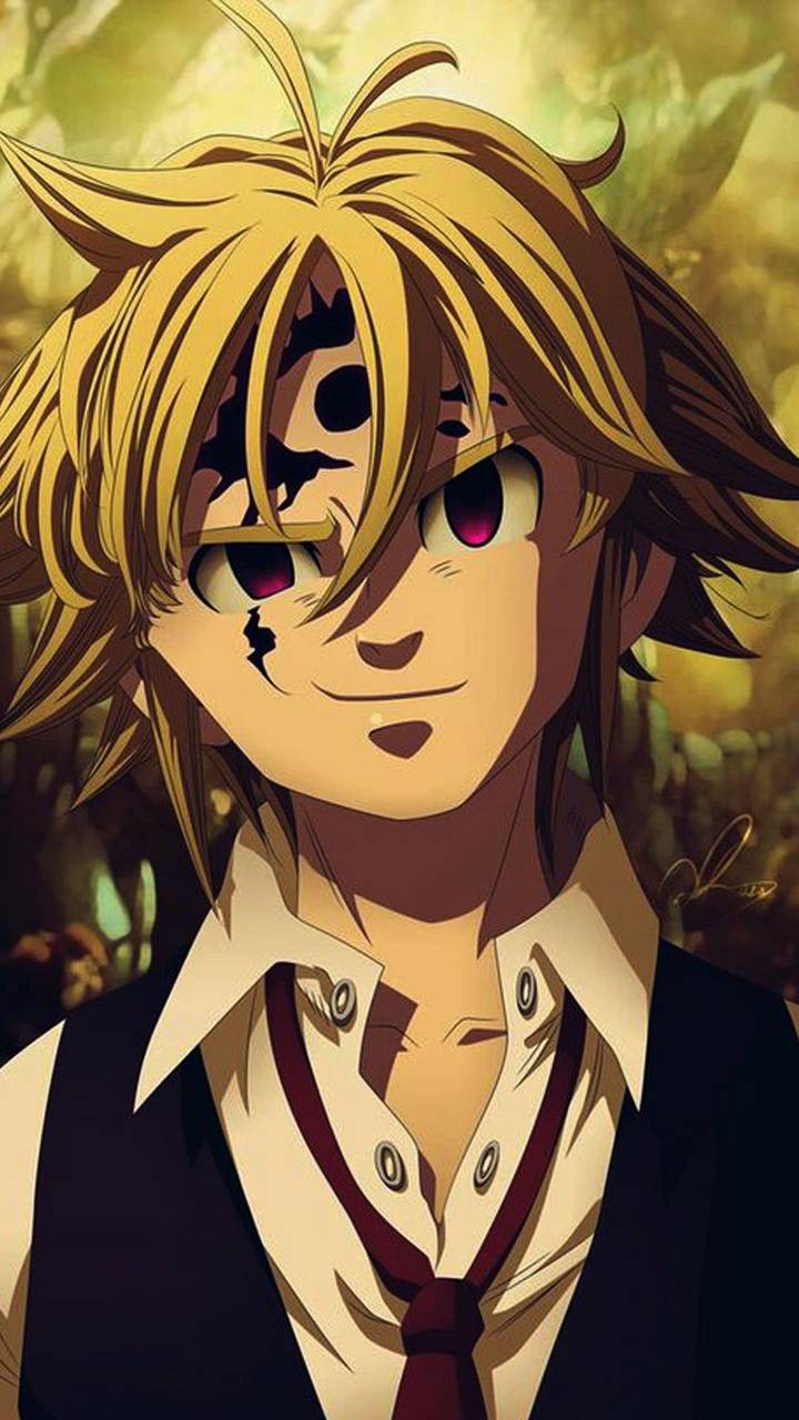 720x1280 Meliodas wallpaper