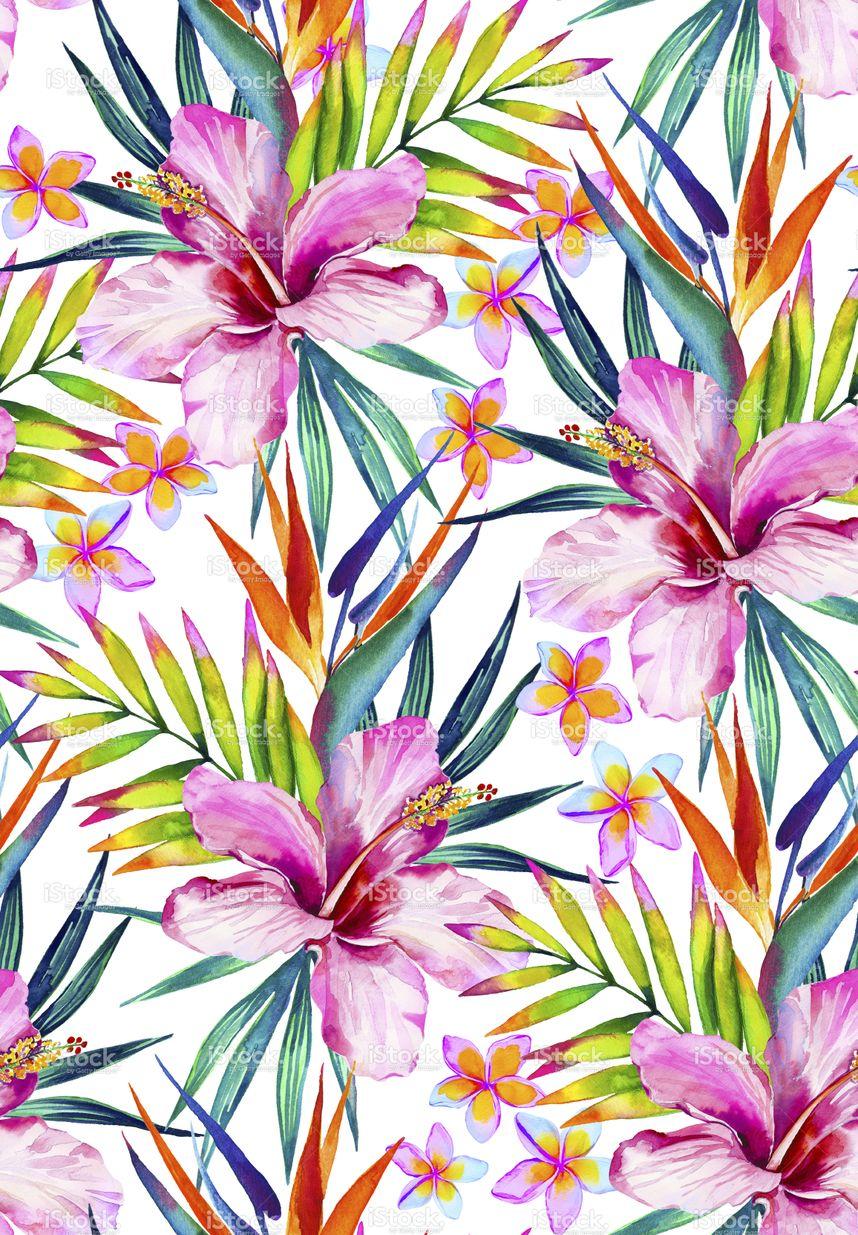 Tropical Vector Wallpapers - Top Free Tropical Vector Backgrounds ...