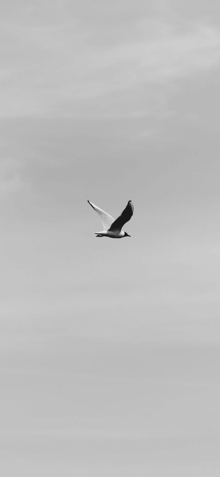 White Calm Wallpapers Top Free White Calm Backgrounds WallpaperAccess