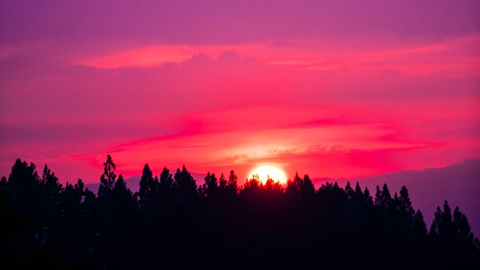 1600x900 Download wallpaper 1600x900 sunset, sky, pink, trees, sun widescreen 16:9 HD background