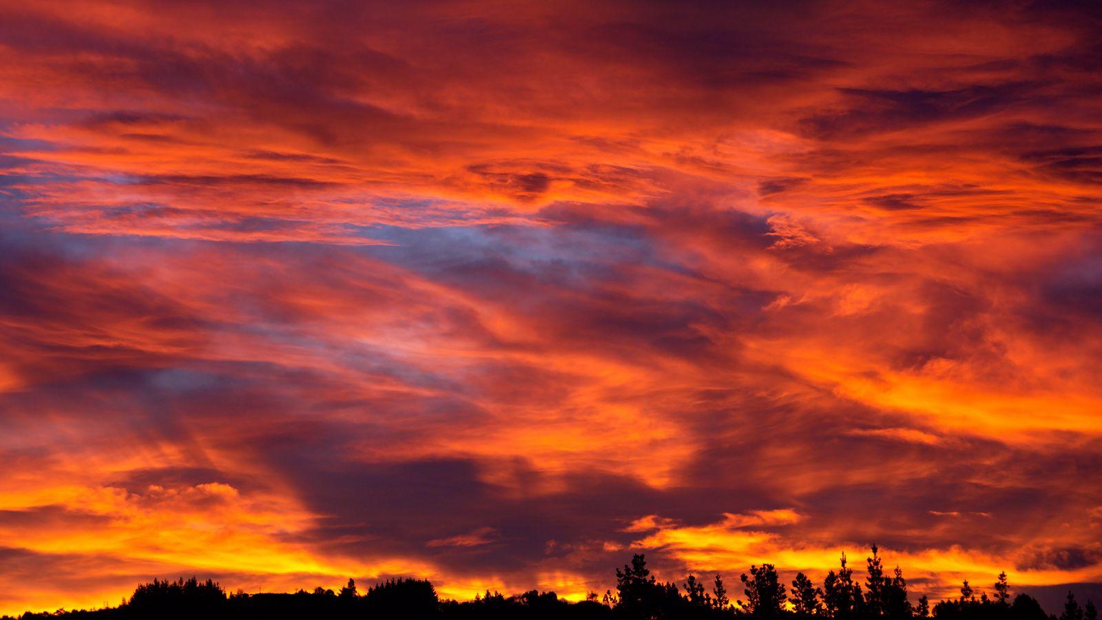 1600x900 Download wallpaper 1600x900 sunset, sky, trees, bushes, clouds widescreen 16:9 HD background