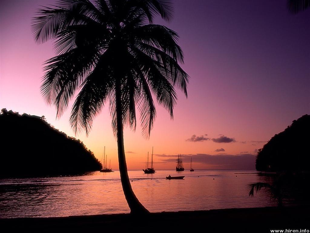 1024x768 Free download St Lucia Island Nigh View Wallpaper PhotoJunction [1024x768] for your Desktop, Mobile & Tablet. Explore St Lucia Wallpaper. Wallpaper Jamaica Beaches, Sandals Montego Bay Wallpaper