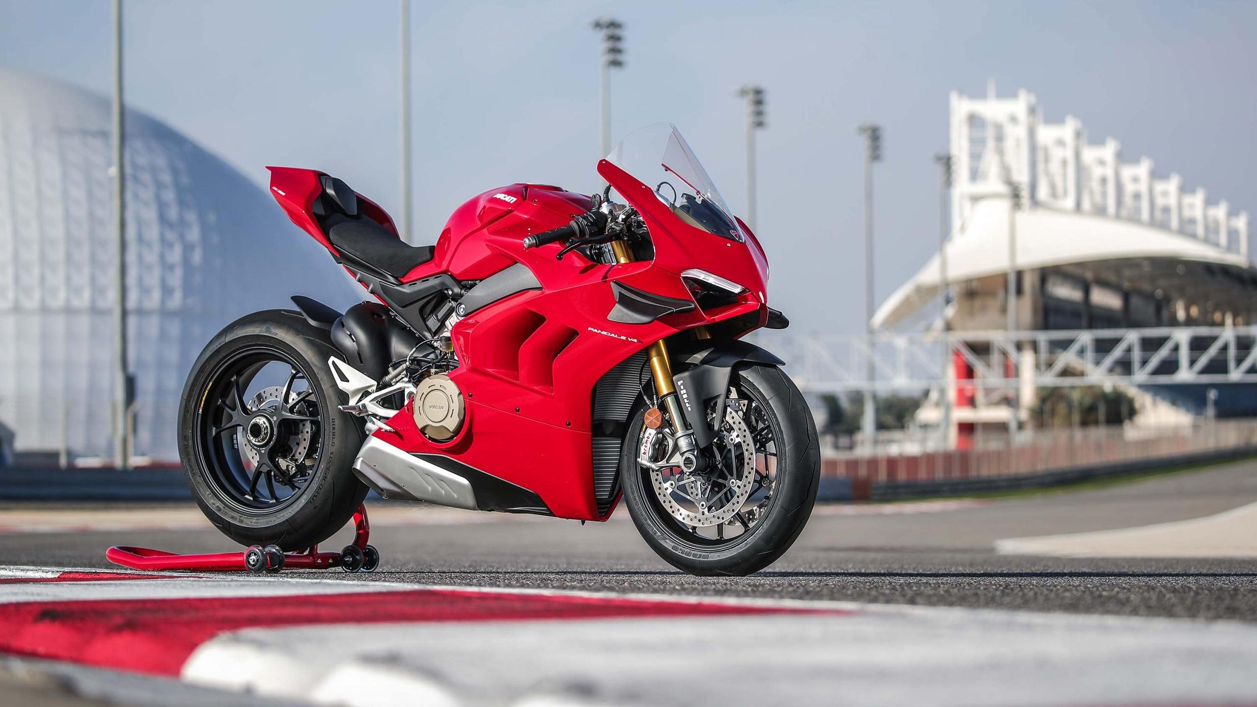 2560x1440 Ducati Panigale V4 Wallpaper White Collection