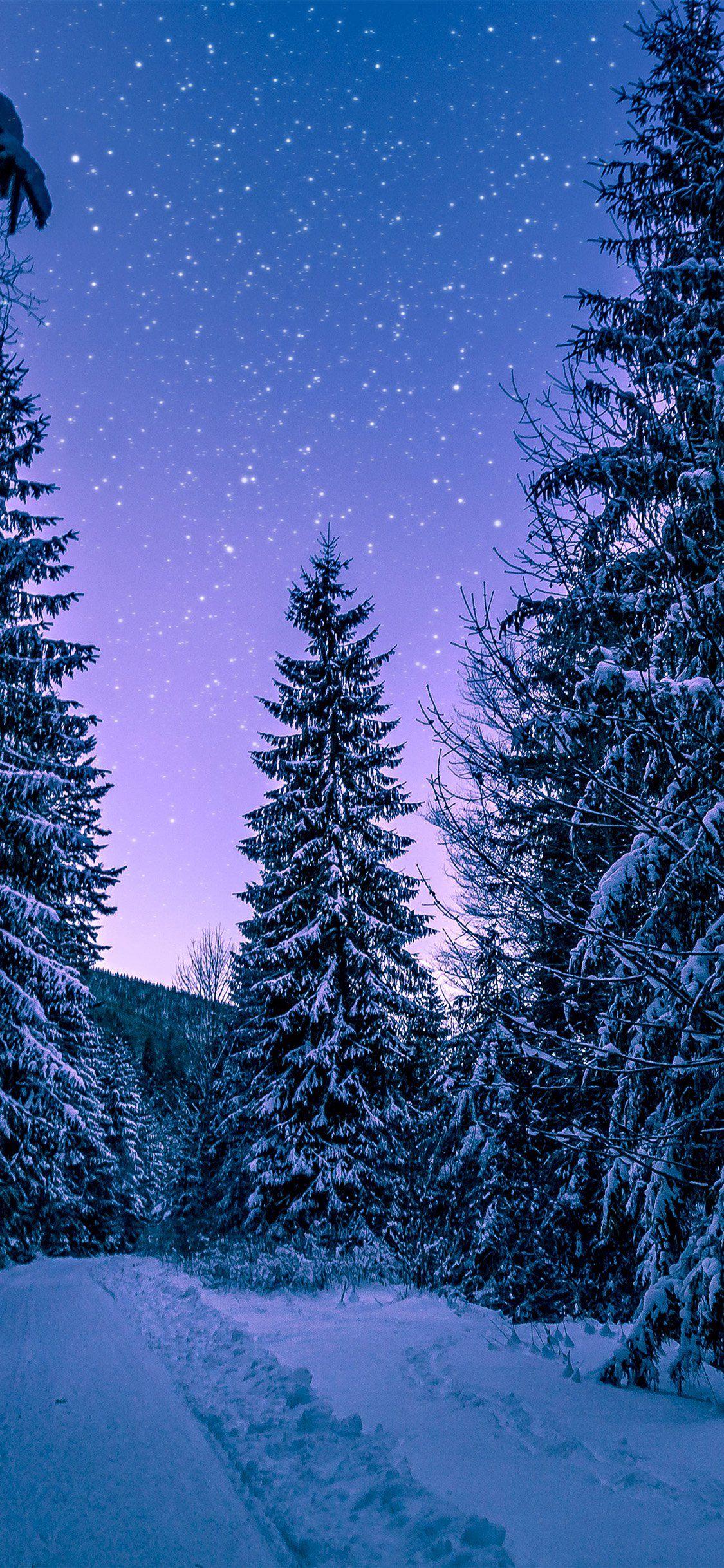 1125x2436 Winter Wallpaper