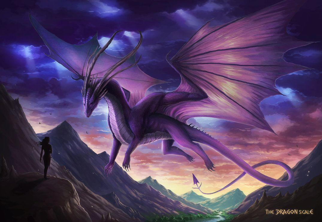 1075x743 Purple Dragons Wallpaper