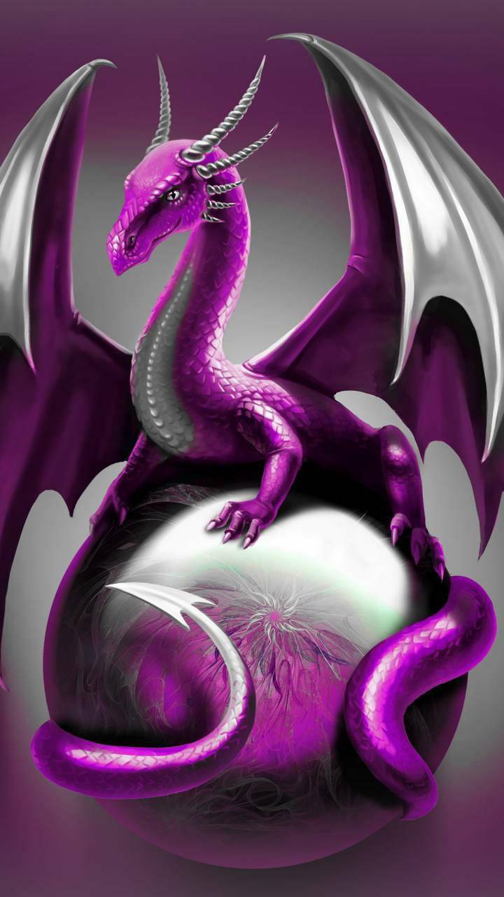 720x1280 Purple Dragons Picture