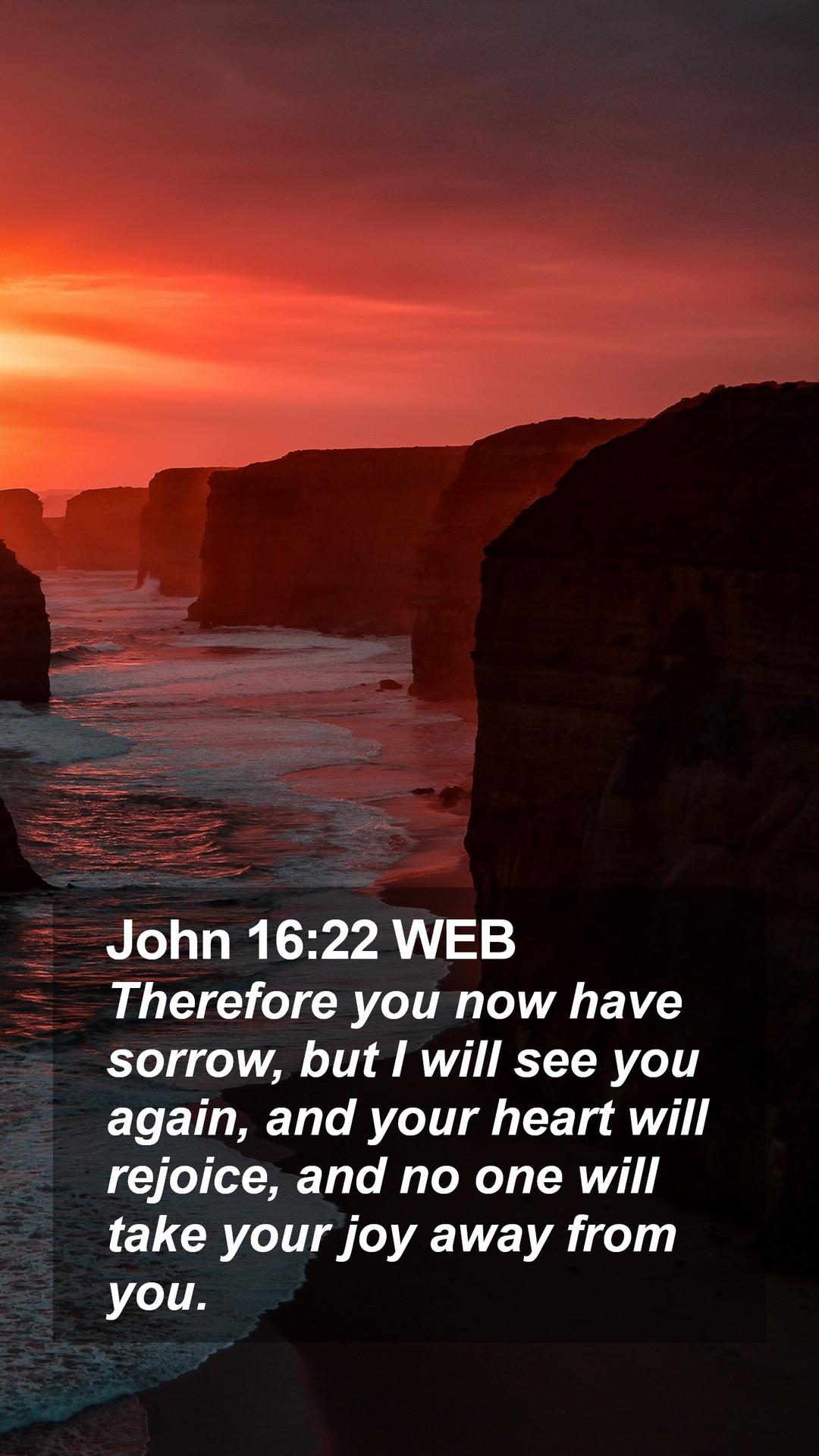 1080x1920 John 16:22 WEB Mobile Phone Wallpaper you now have sorrow, but I will see you