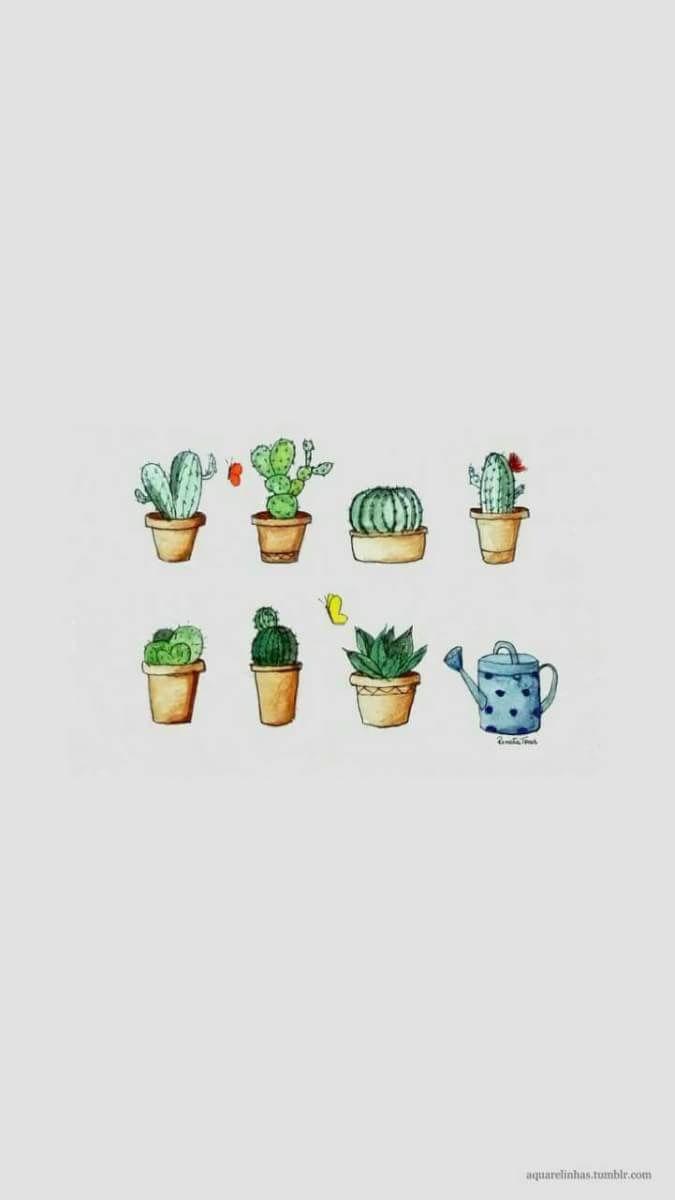 Cool Cactus Wallpapers - Top Free Cool Cactus Backgrounds - WallpaperAccess