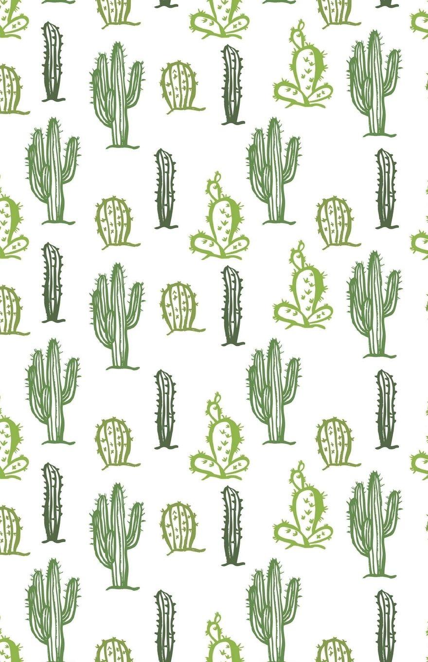 Small Cactus Wallpapers - Top Free Small Cactus Backgrounds 