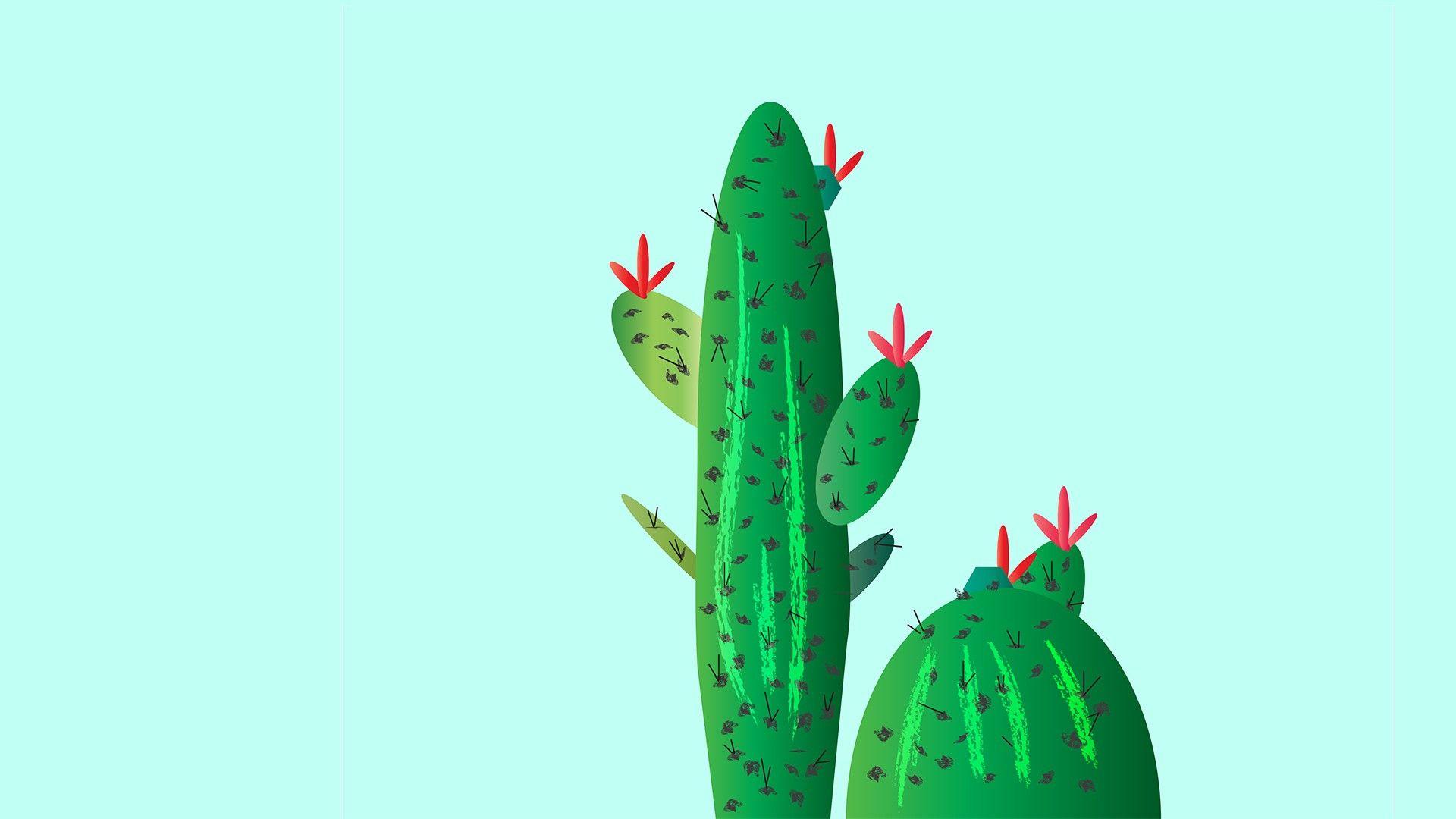 1920x1080 Cacti Wallpaper