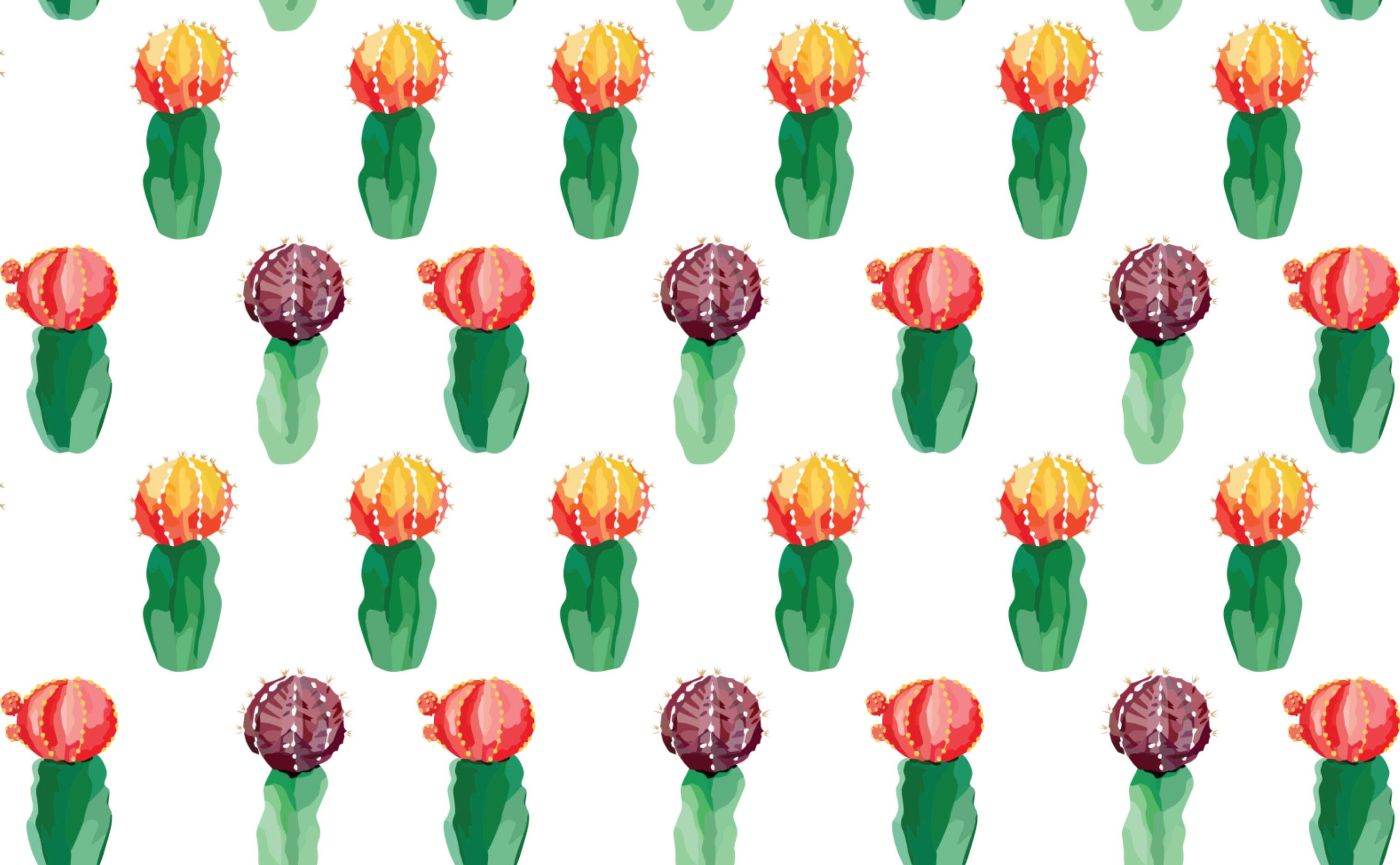 3028x1872 Cactus Pattern Wallpaper for Walls