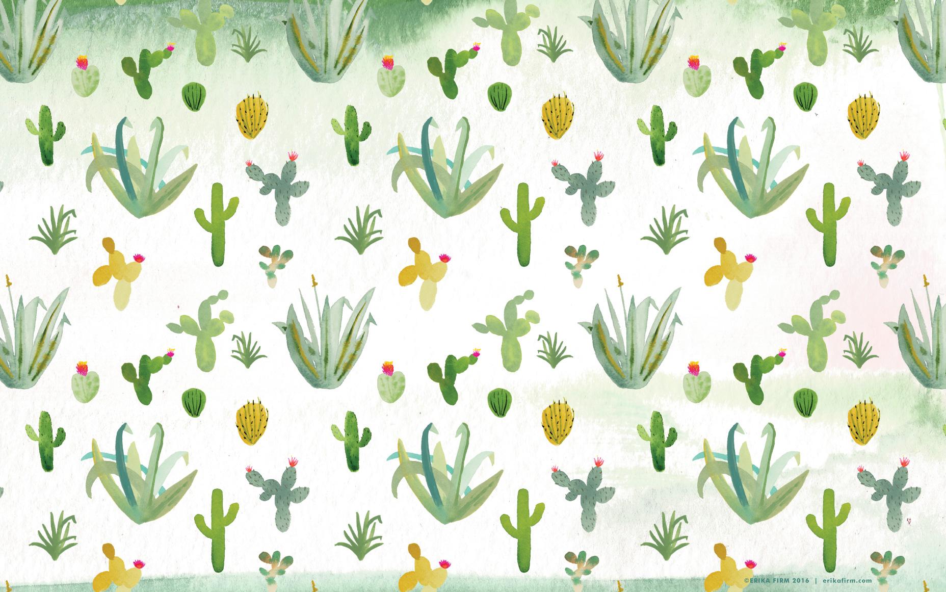 1856x1161 Pics Photo Cactus Wallpaper Wallpaper For Desktop HD Wallpaper