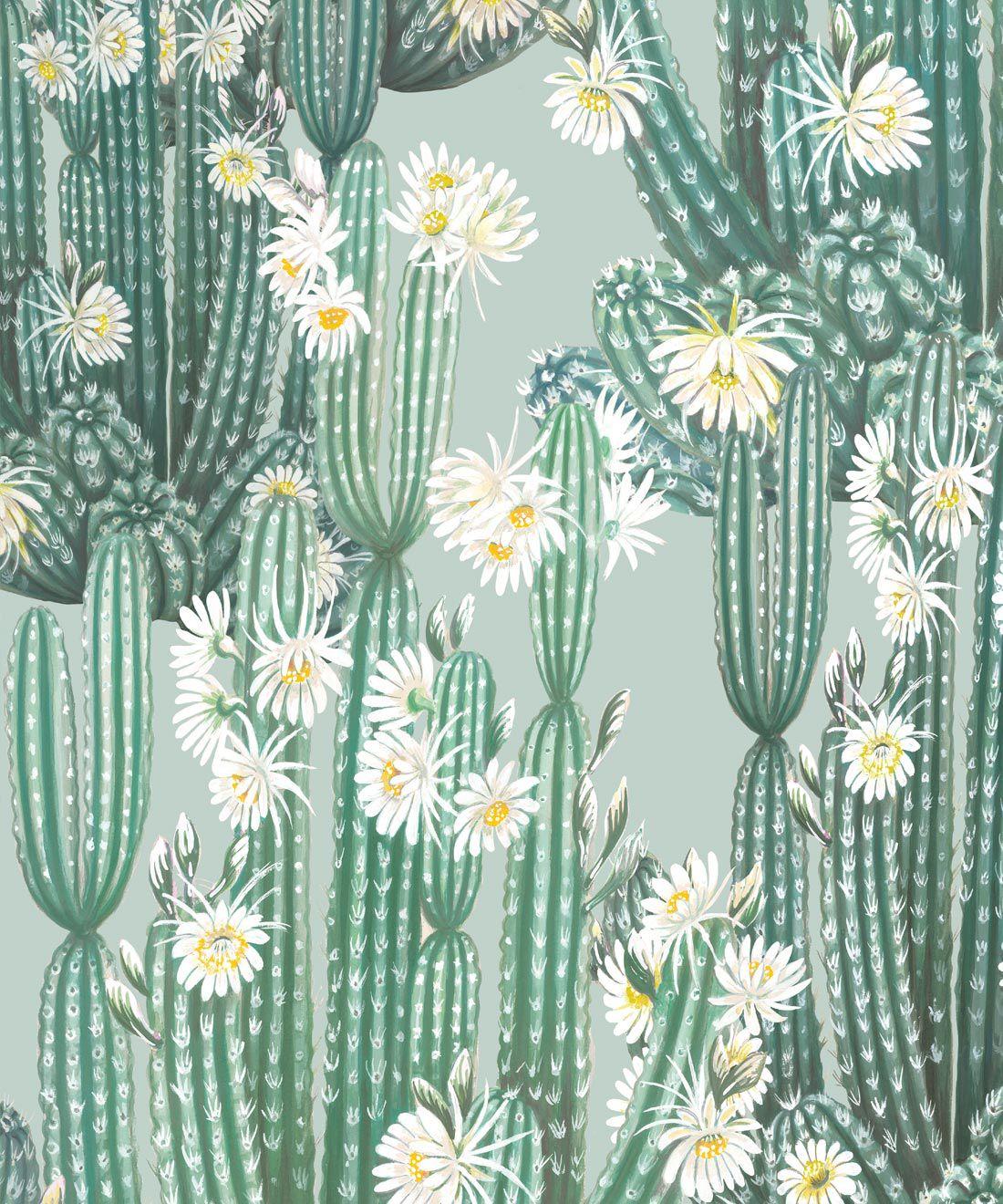 1100x1320 San Pedro Wallpaper • Cactus Wallpaper Europe