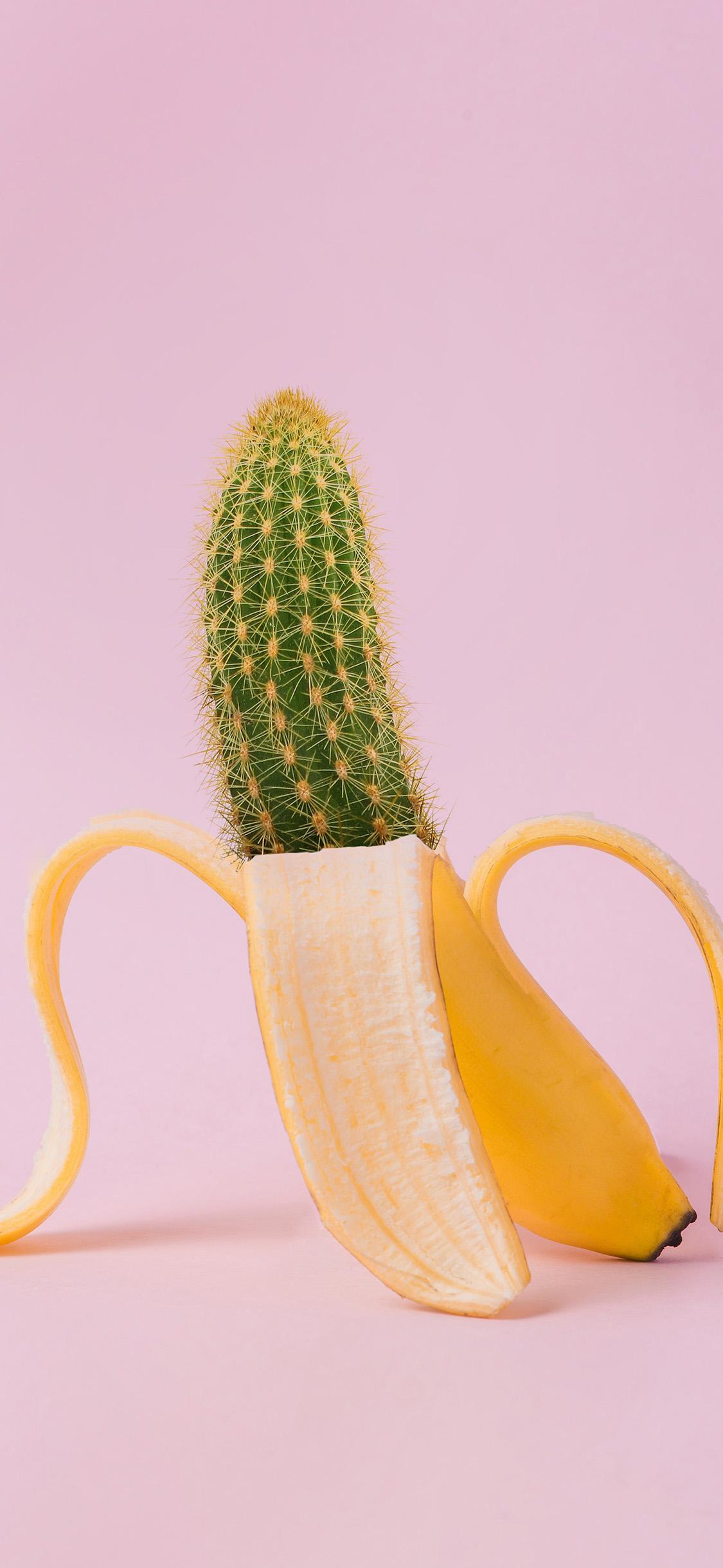 1125x2436 Art Banana Cactus Wallpaper