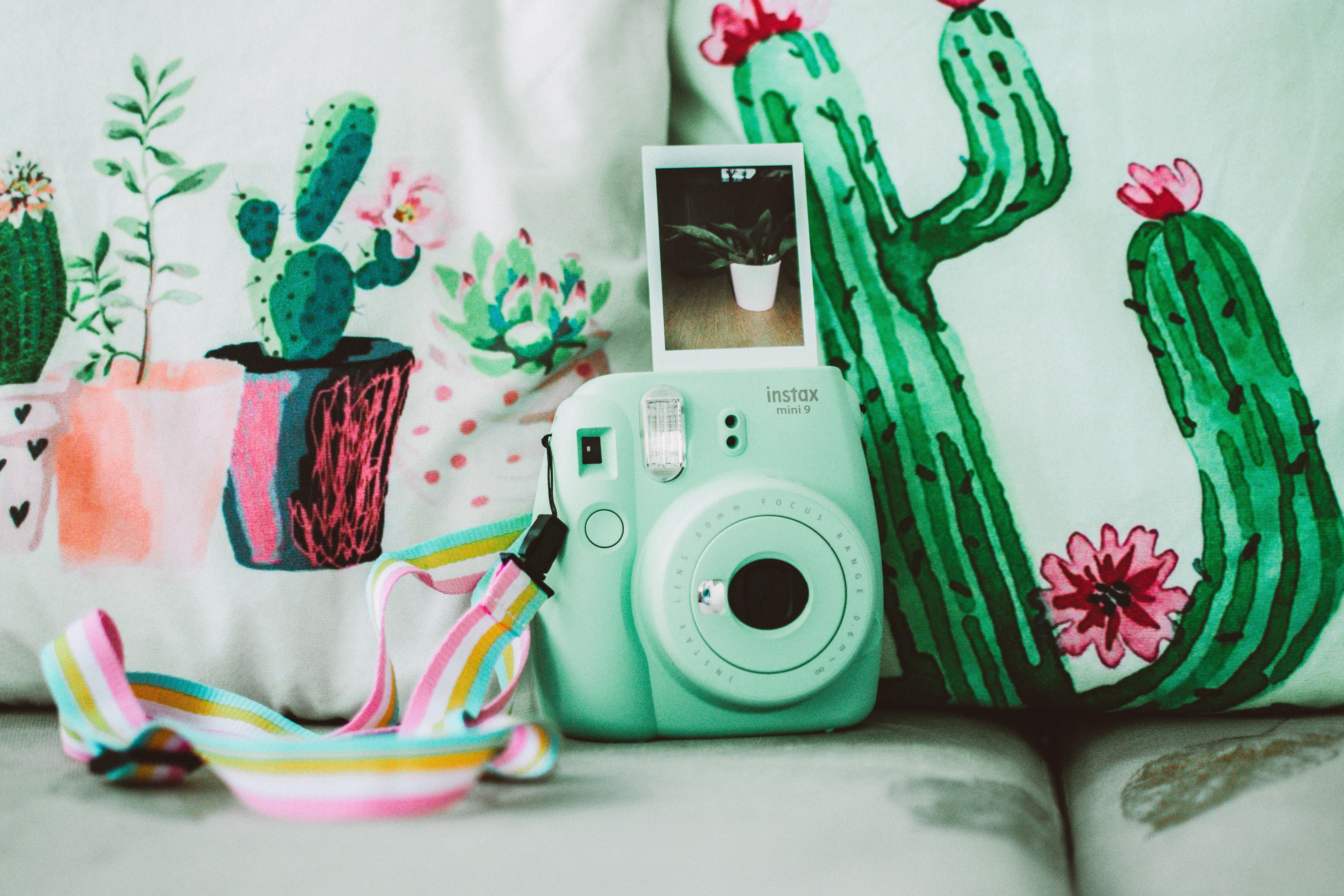 6000x4000 Green Instax Mini 8 Instant Camera Near Cactus Plant Printed Textiles · Free