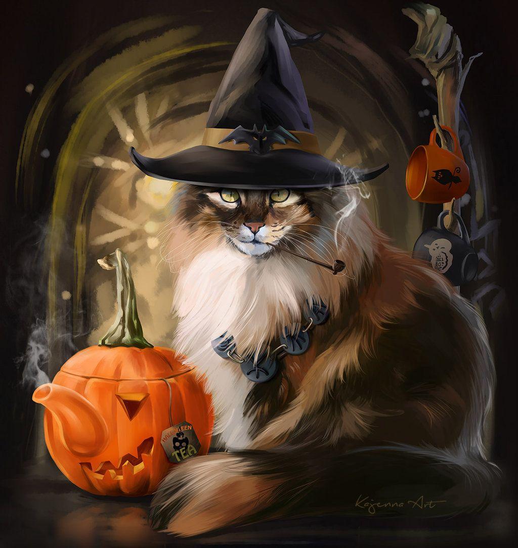 Beautiful Witch Cat Wallpapers - Top Free Beautiful Witch Cat