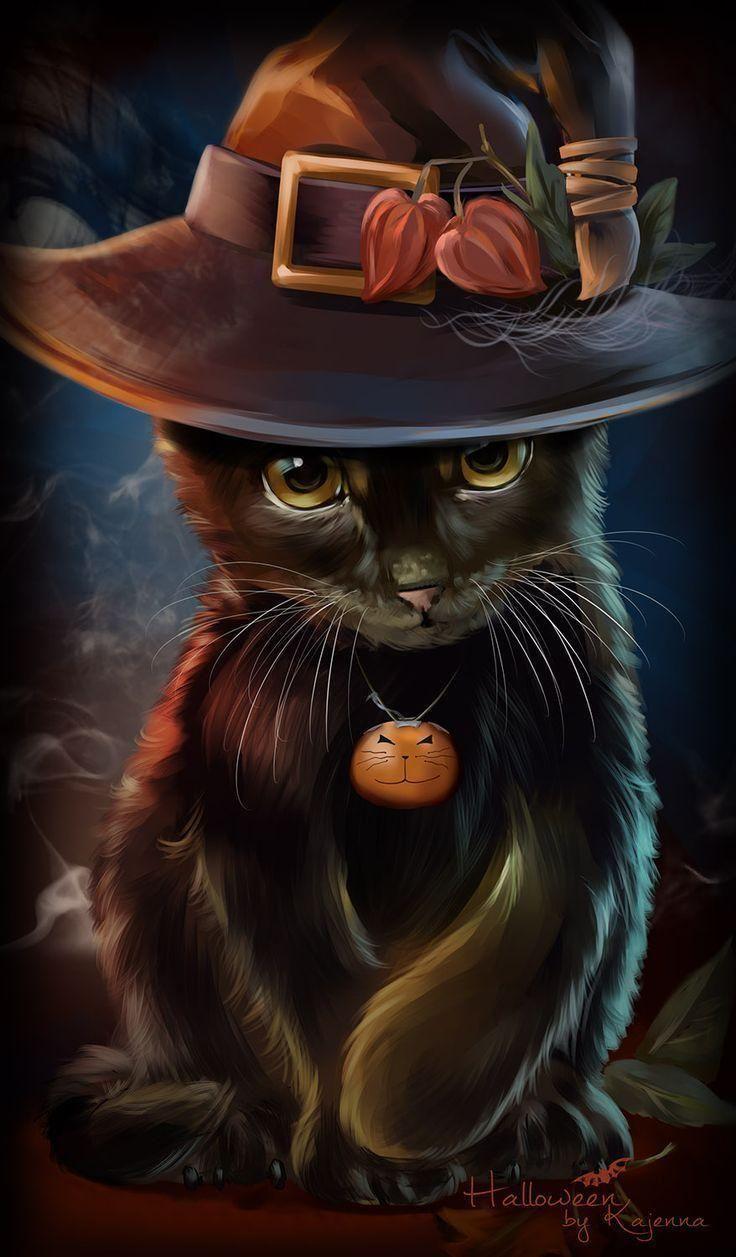 Beautiful Witch Cat Wallpapers - Top Free Beautiful Witch Cat Backgrounds - WallpaperAccess