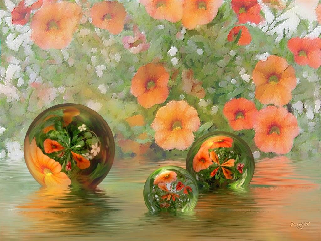 1024x768 Wallpaper: Beautiful Free Wallpaper for Your Desktop