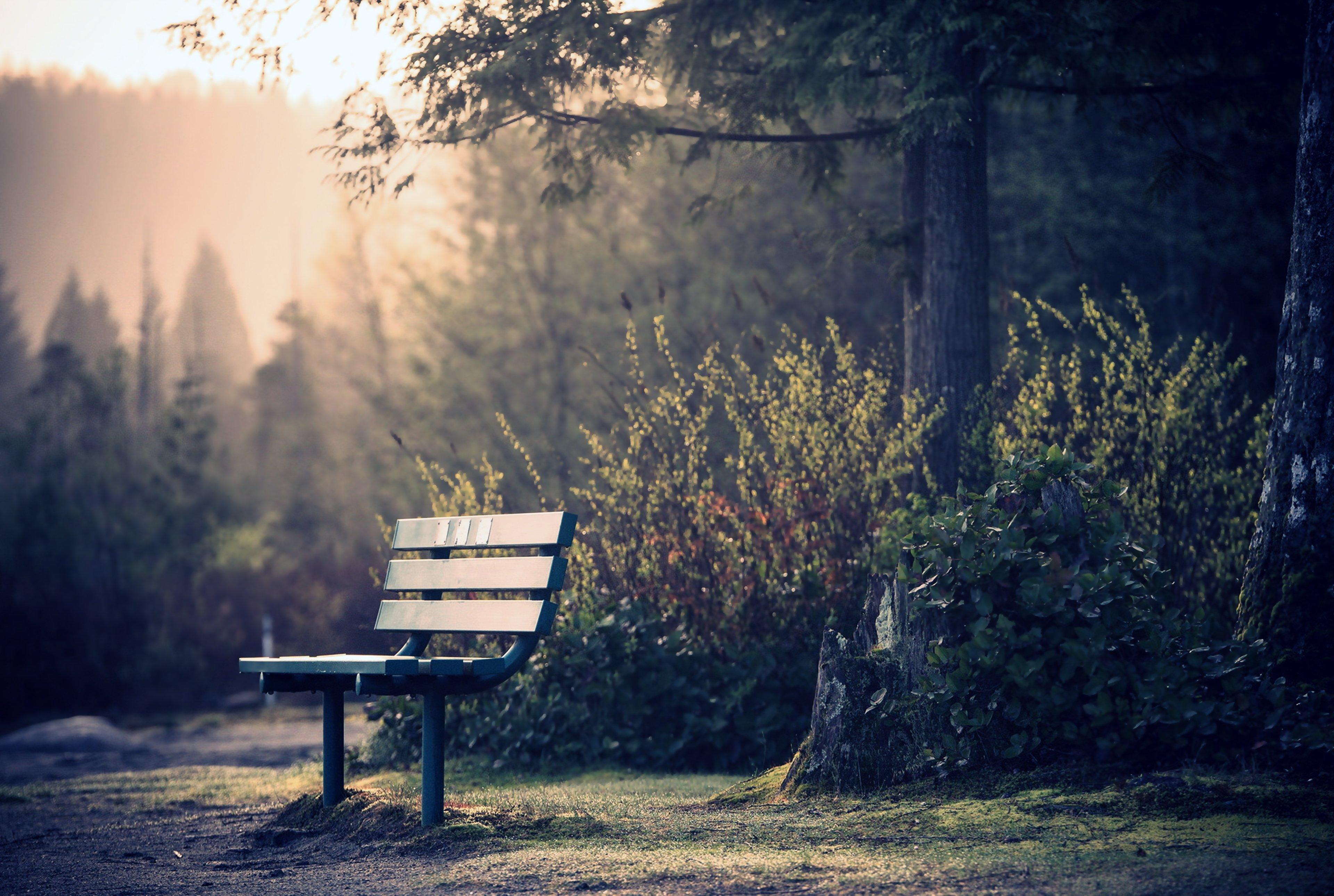 3840x2580 skamya, Park, Trees, Gardens, Chairs, Quiet, Relax, Alone, Nature, Landscapes, Earth Wallpaper HD / Desktop and Mobile Background