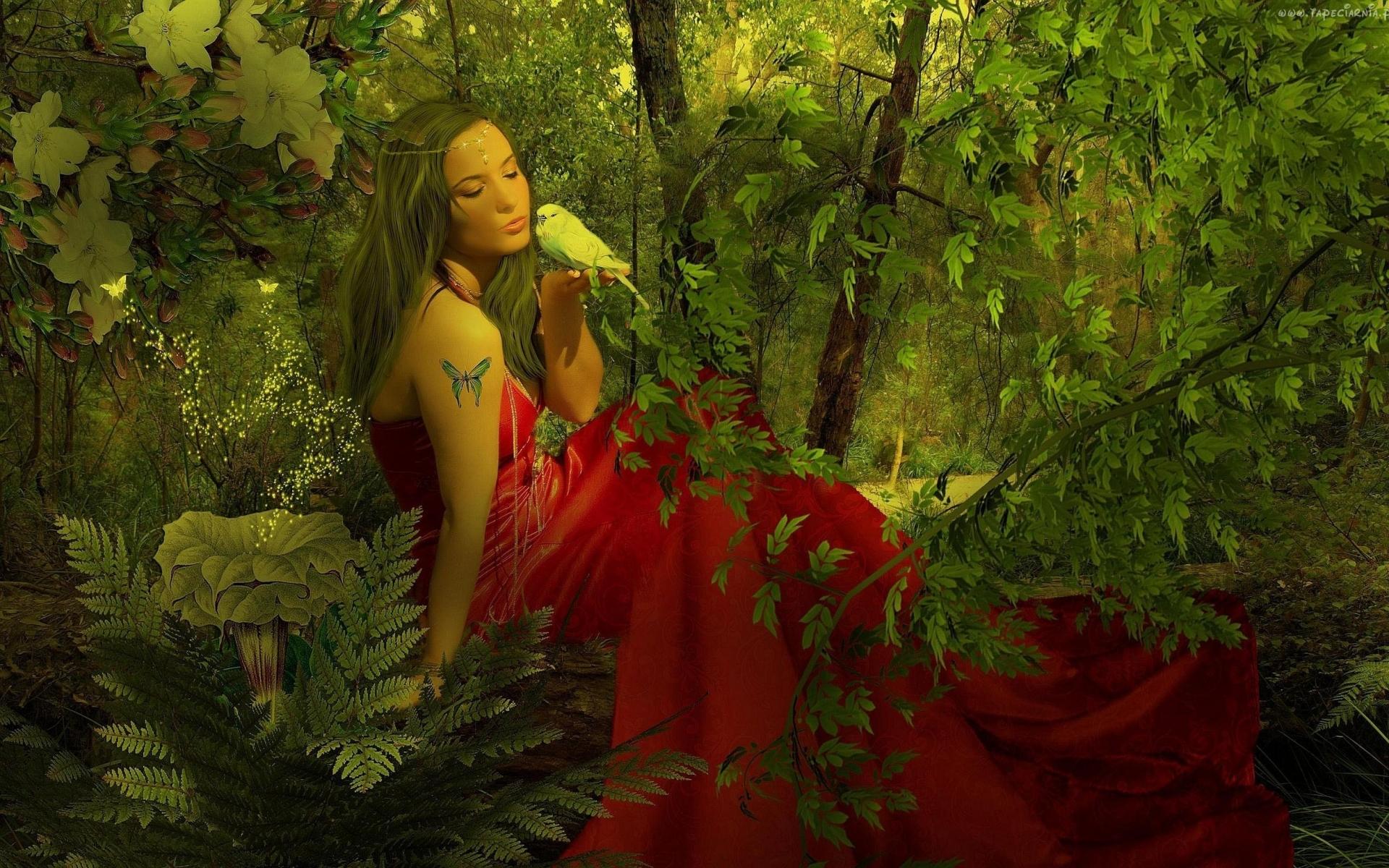 1920x1200 fantasy, Art, Gothic, Trees, Forest, Nature, Birds, Mood, Fairy, Women Wallpaper HD / Desktop and Mobile Background