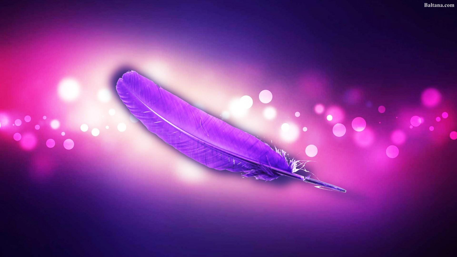 1920x1080 Feather Desktop Wallpaper 29752