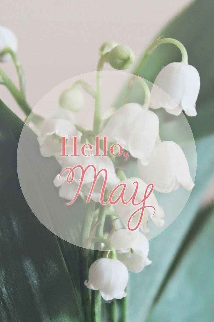 15,727 Hello May Images, Stock Photos & Vectors | Shutterstock