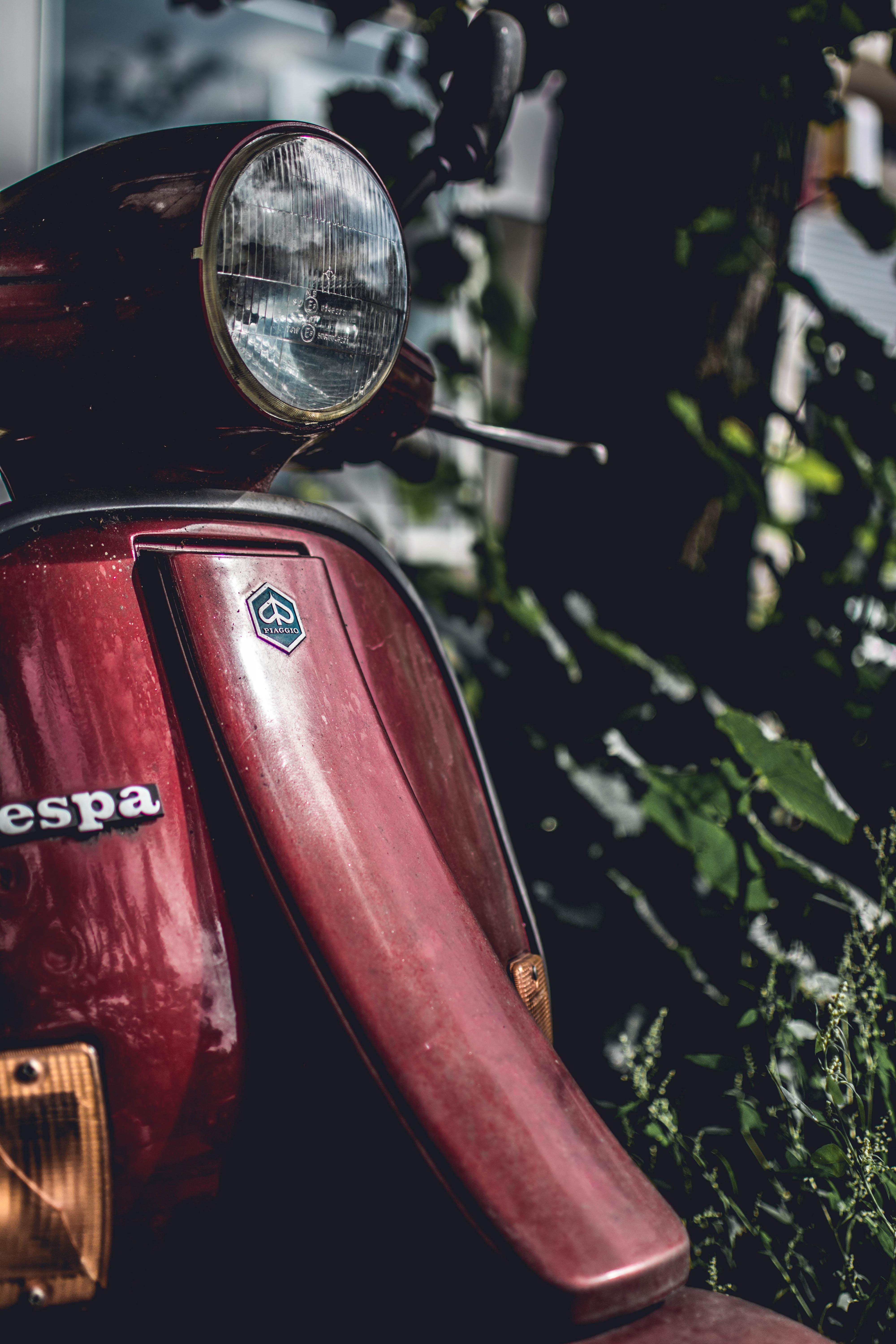 4000x6000 Photo of Vespa Motor Scooter · Free
