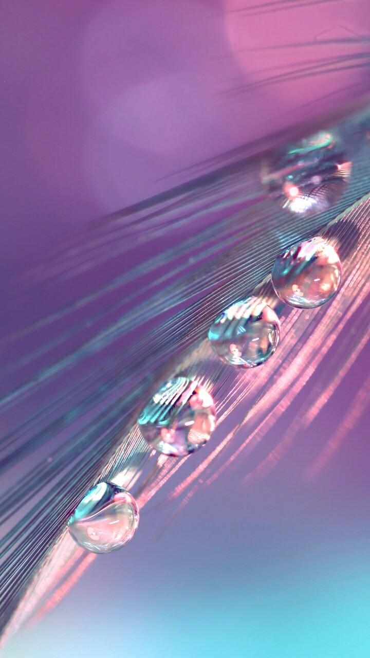 720x1280 art, background, beautiful, beauty, design, drops, feather, flowers, inspiration, lady, leaves, luxury, macro, nature, pastel, purple, soft, still life, wallpaper, we heart it, pink background, purple background, pastel color, beauty flowers, pastel
