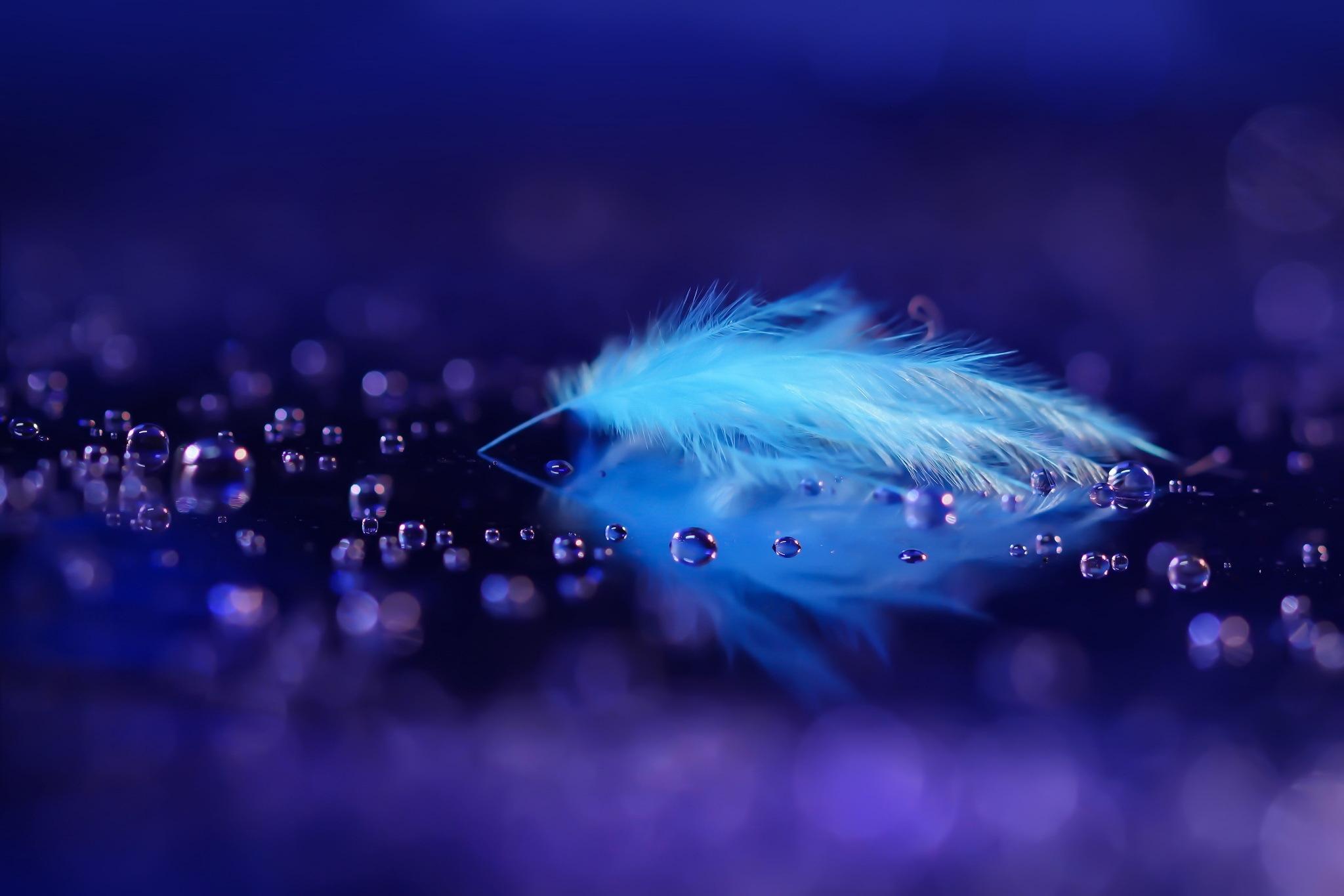 2048x1365 Feather Wallpaper 46 - [2048x1365]