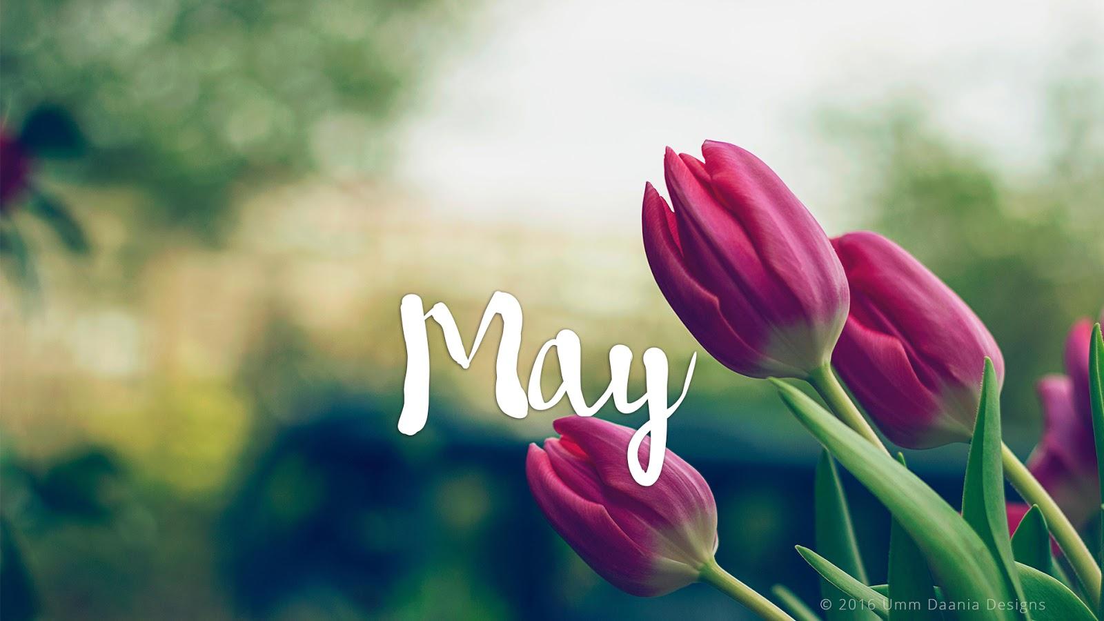1600x900 May Month Wallpaper HD