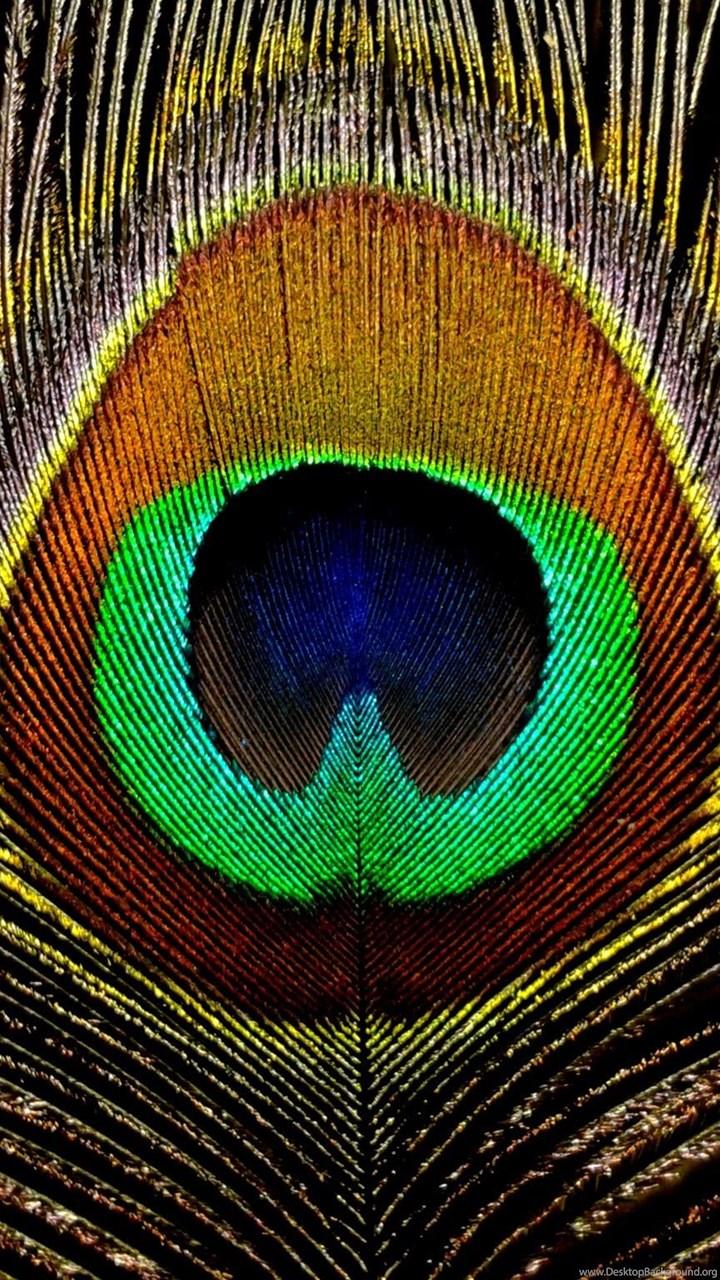 720x1280 Peacock Feathers HD Wallpaper, Peacock Feathers Background, New. Desktop Background