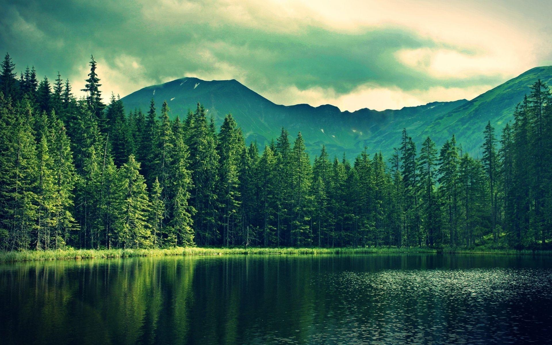 1920x1200 Mountain Green Forest Deep Sea wallpaper. Mountain Green Forest