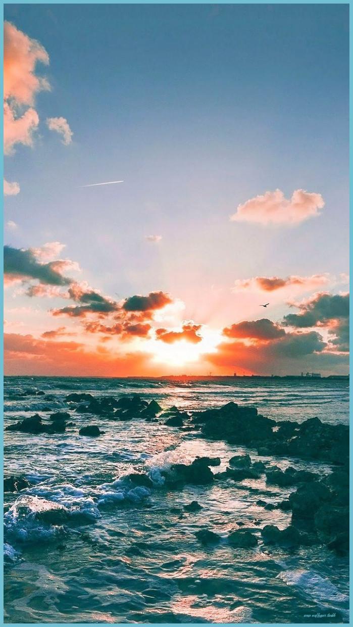 699x1241 Related Image Summer Wallpaper Tumblr, Summer Wallpaper, Cute Wallpaper Tumblr
