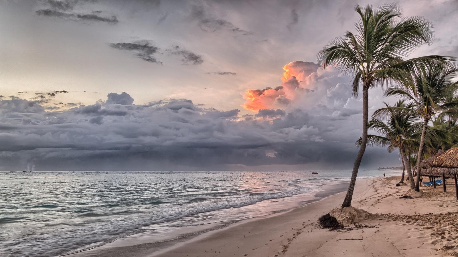 1600x900 Beach Summer Ocean Trees Wind Flowing 1600x900 Resolution HD 4k Wallpaper, Image, Background, Photo and Picture