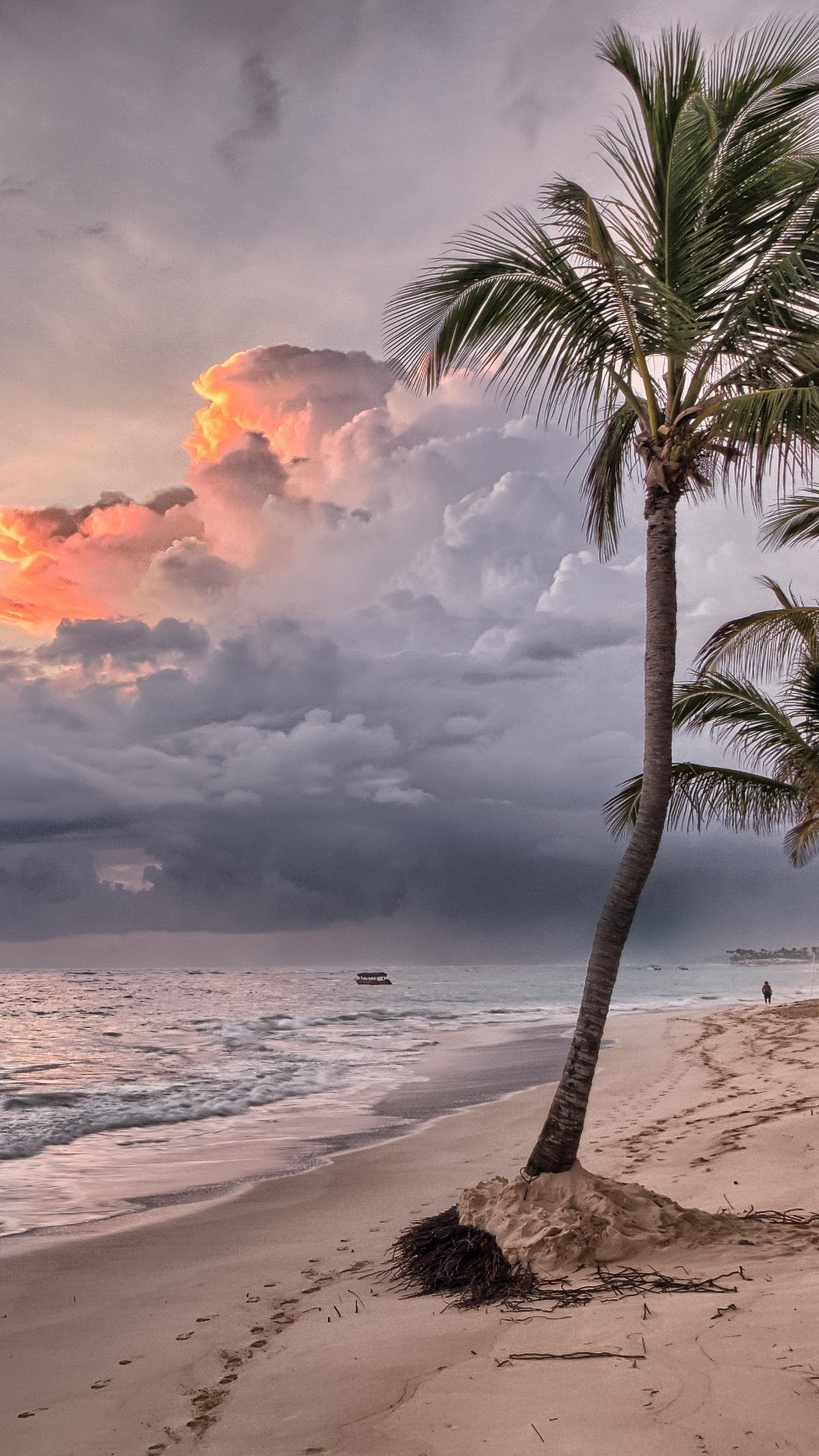 2160x3840 Beach Summer Ocean Trees Wind Flowing Sony Xperia X, XZ, Z5 Premium HD 4k Wallpaper, Image, Background, Photo and Picture