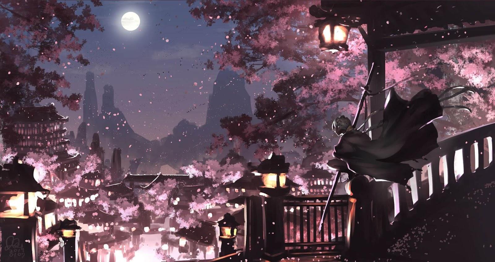 1600x848 Anime Night Wallpaper Cherry Blossom Tree