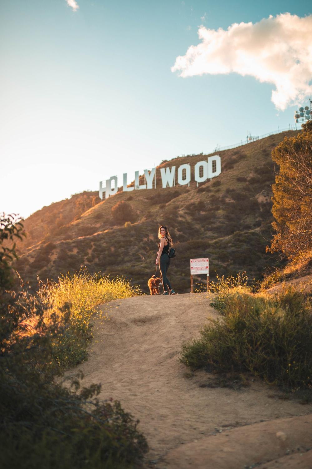 1000x1500 Hollywood Hills Picture. Download Free Image