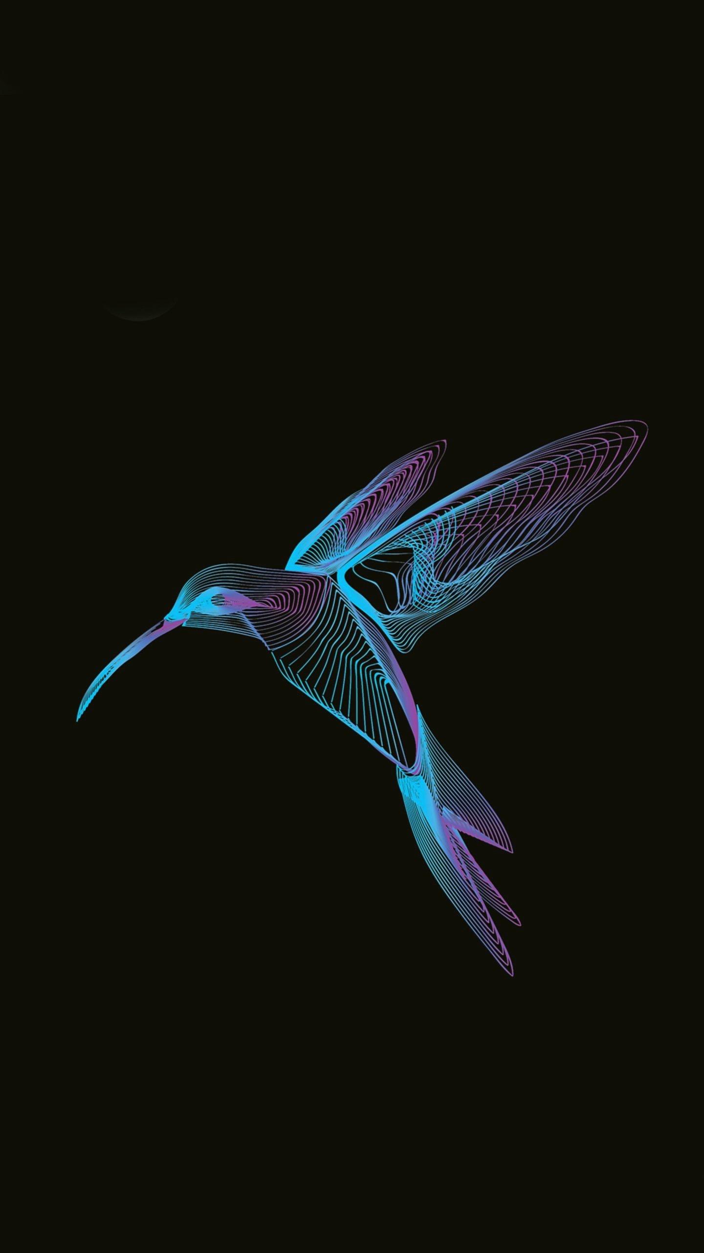 1440x2560 Bird of Harmony Amoled Best iPhone Wallpaper Download