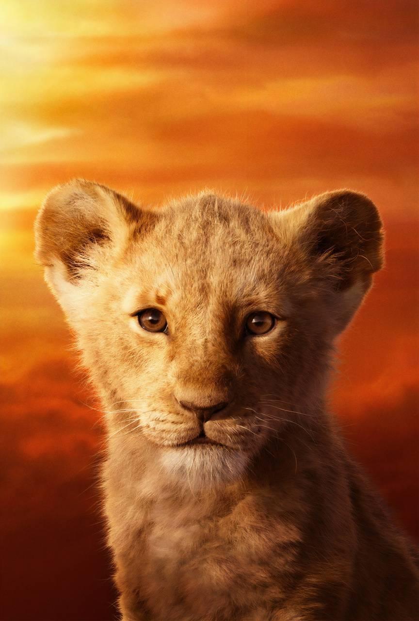 Cute The Lion King Wallpapers - Top Free Cute The Lion King Backgrounds ...